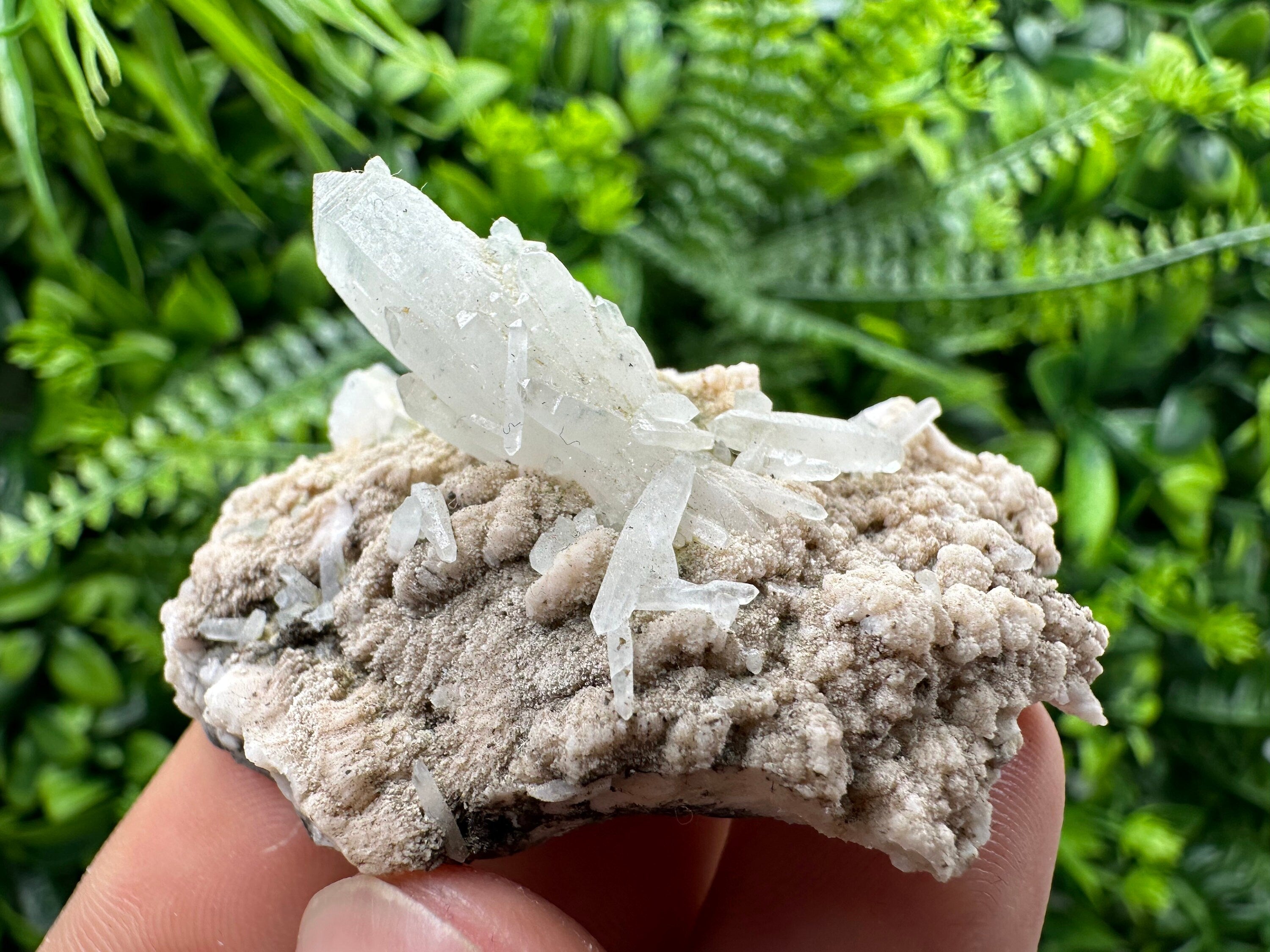 Quartz with Chlorite, Rhodochrosite, Siderite - Mineral Specimen