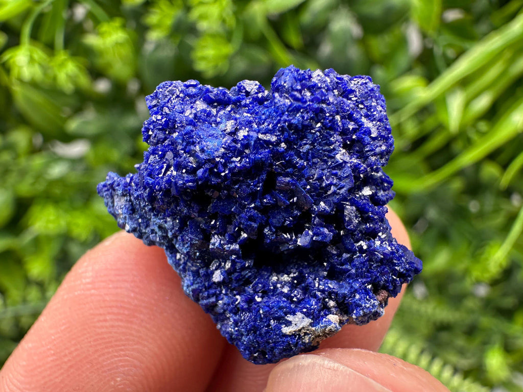 Crystallized Azurite-Kerrouchen,Morocco-Blue Azurite Specimen-High Quality Blue Azurite-Azurite Mineral Specimen, gemmy,lustrous of Azurite