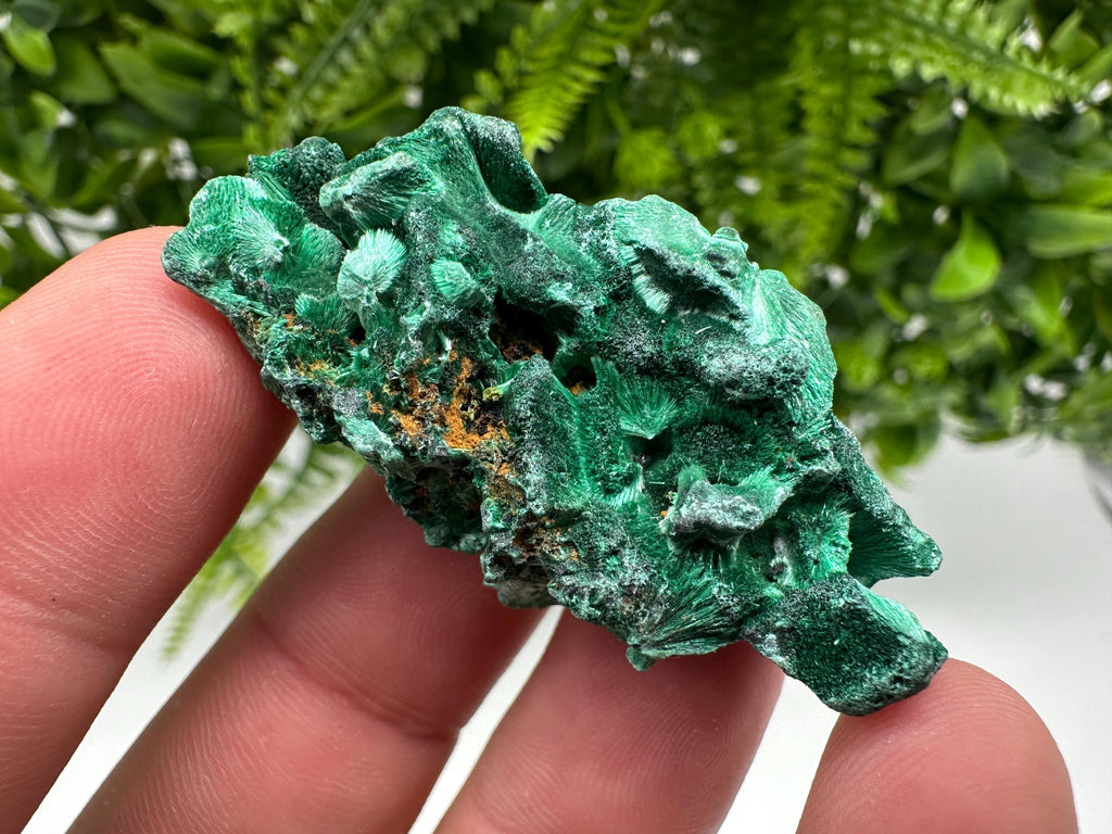 Malachite Crystal from Congo,Minerals,Crystals from Congo,Green Malachite, Malachite,Natural Malachite,Malachite Stone,Chakra, Specimens