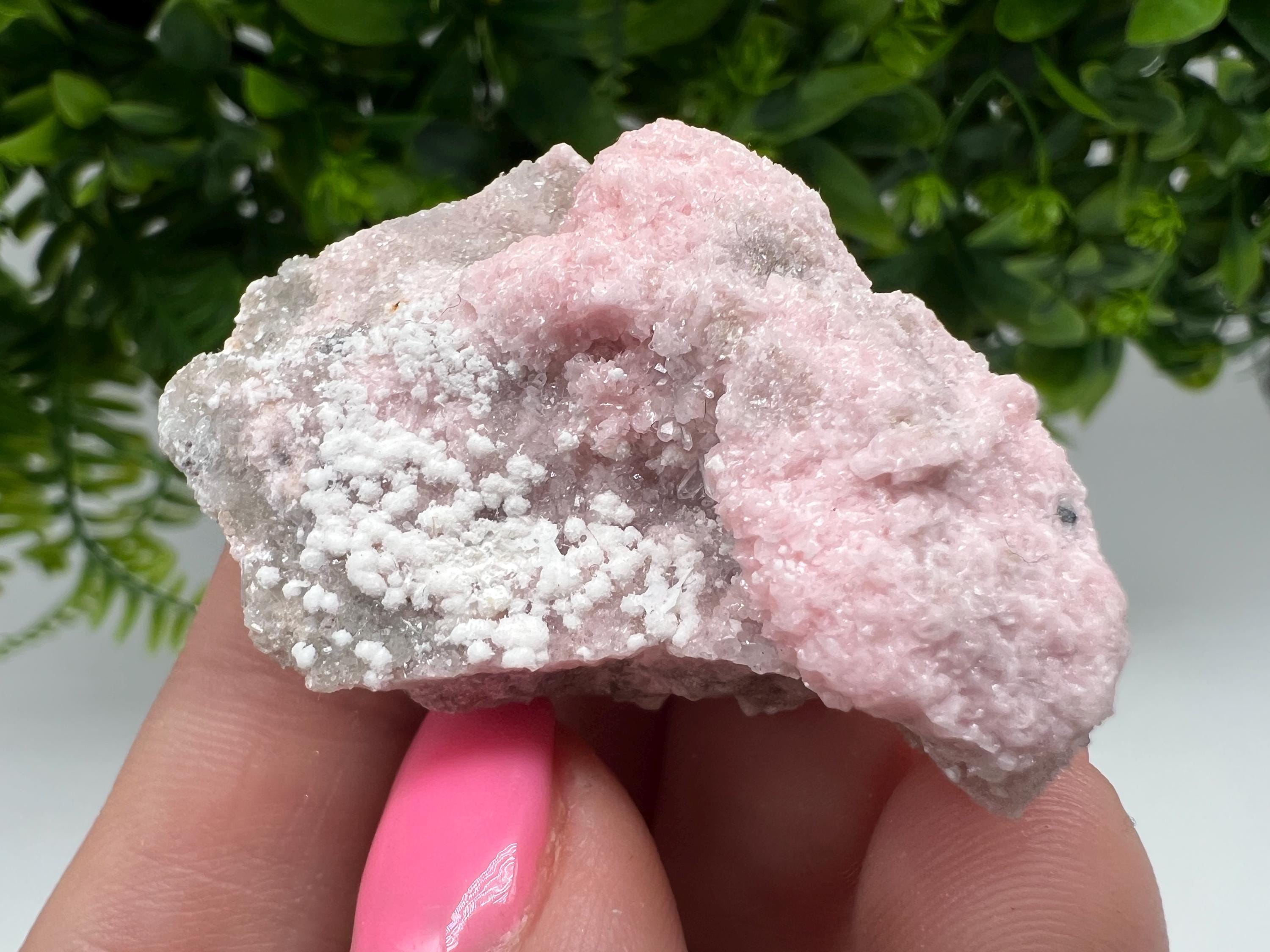 RARE Rhodochrosite with White Calcite, Starnica Mine, Bulgaria