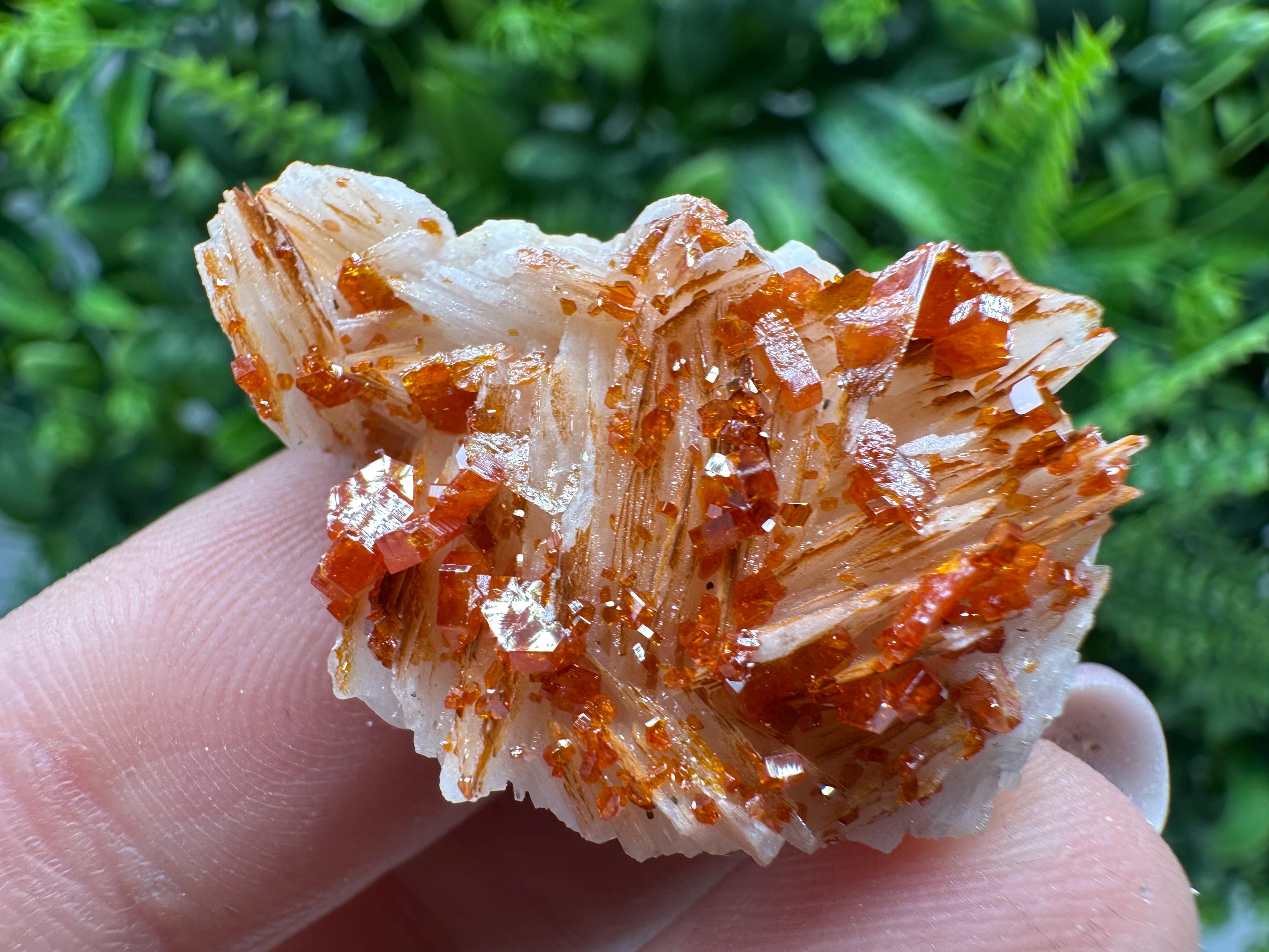 Red Vanadinite on Barite, Moroccan Crystal Specimen