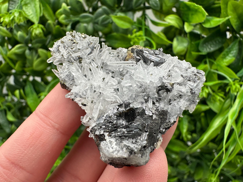 Wonderful Sphalerite Chalcopyrite on  Quartz whit Galena feom 9 th September mine,Bulgaria,natural,collection mineral specimen,gift