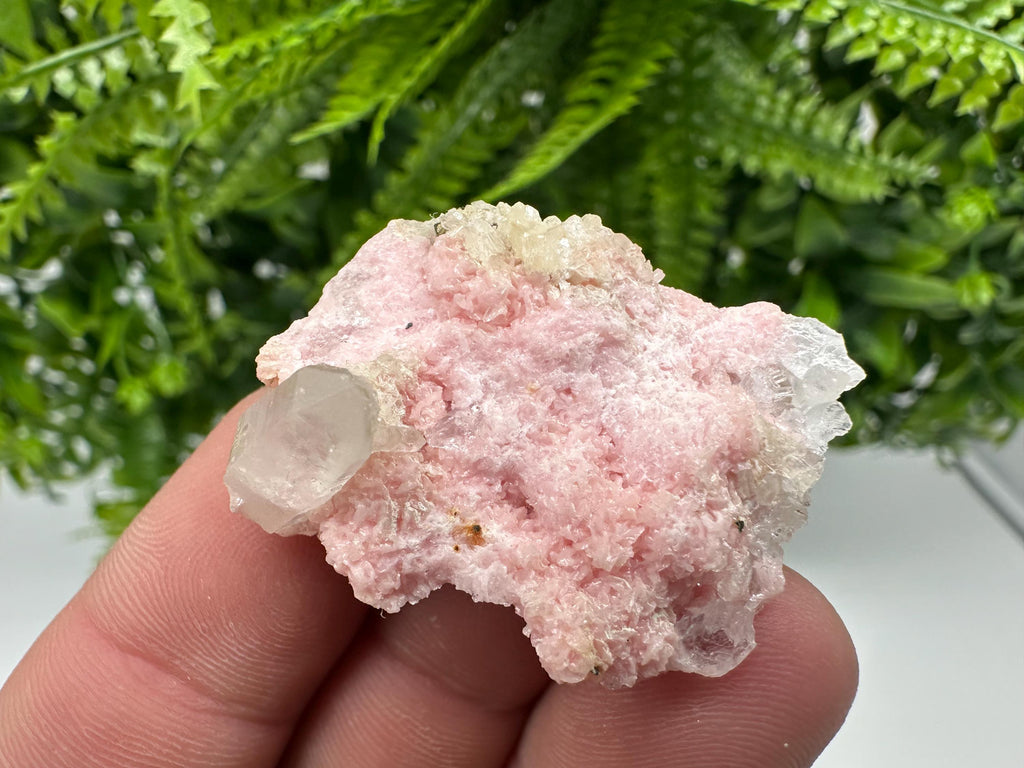 Rhodochrosite on Quartz: Pink Mineral Specimen, Starnica Mine