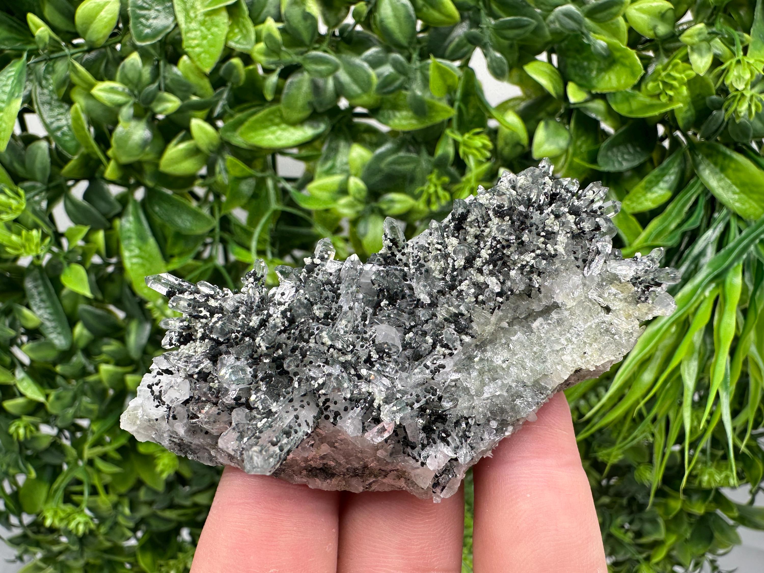 Chlorite Quartz Crystal Cluster - Borieva Mine, Bulgaria