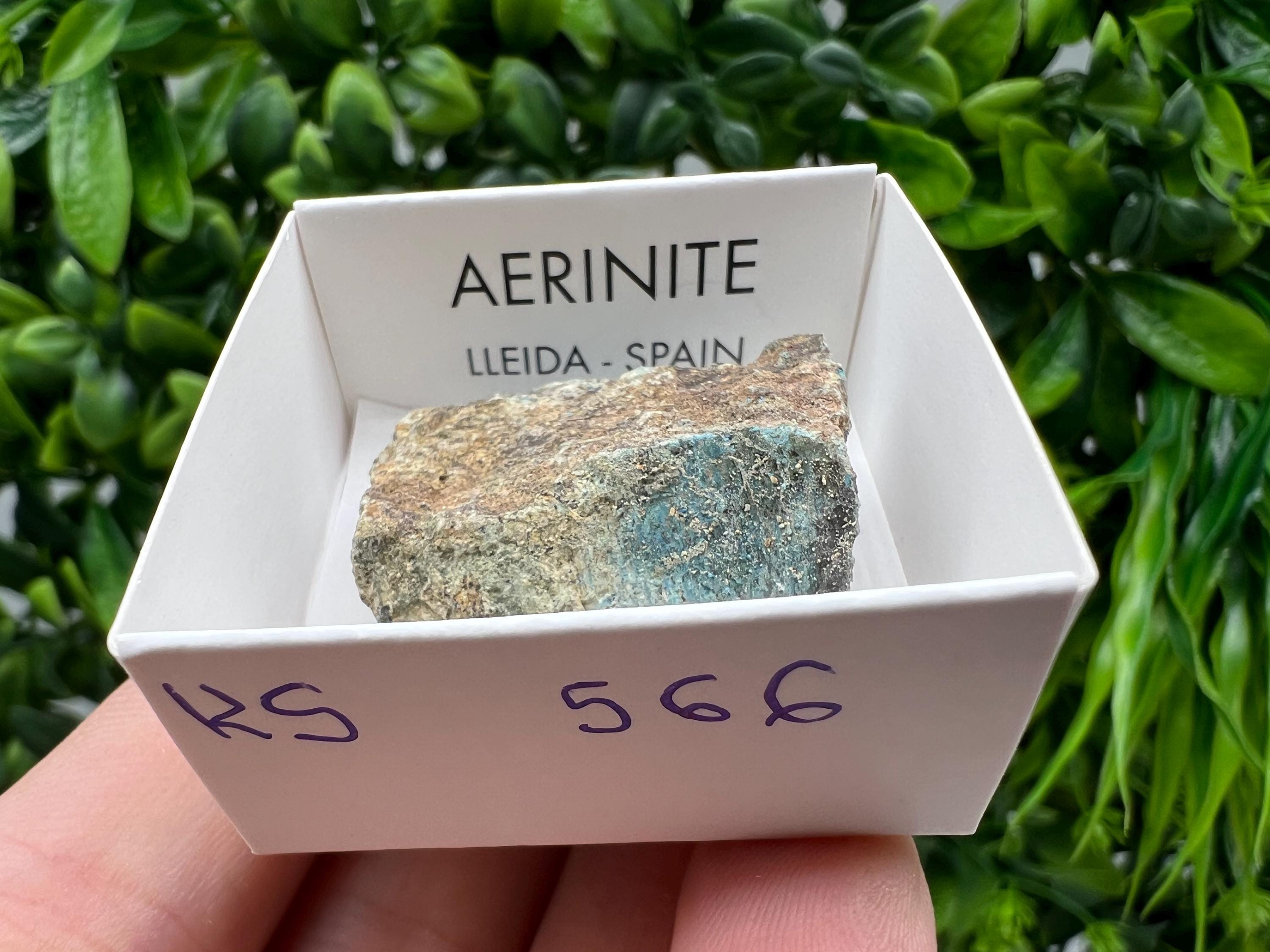 Rare Raw Aerinite Mineral Specimen: Collection Crystal from Lleida, Spain (3/2.5 CM)
