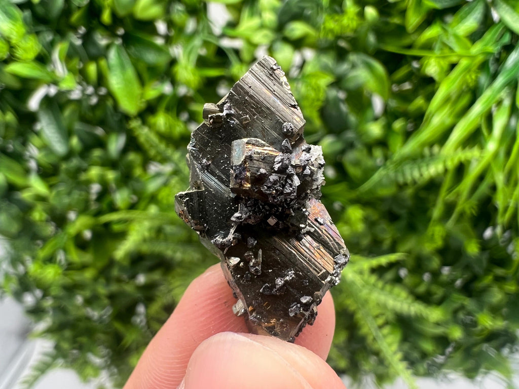 Mini Rainbow Pyrite Cluster: Borieva Mine, Bulgaria