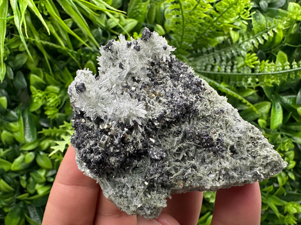 Sphalerite Pyrite on Quartz with Chlorite, Borieva Mine Mineral Specimen