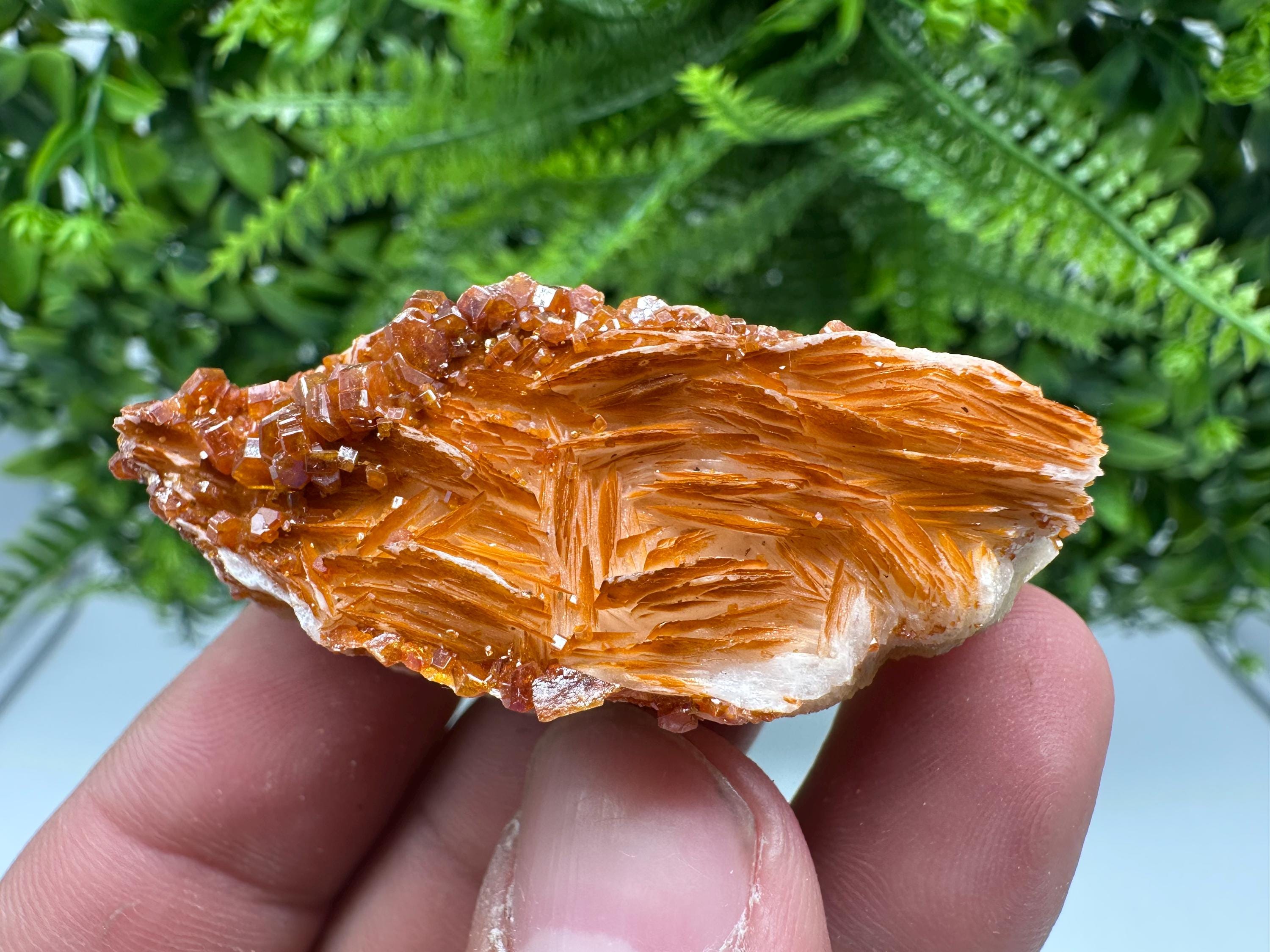 Red Vanadinite on Barite, Morocco Crystal Cluster
