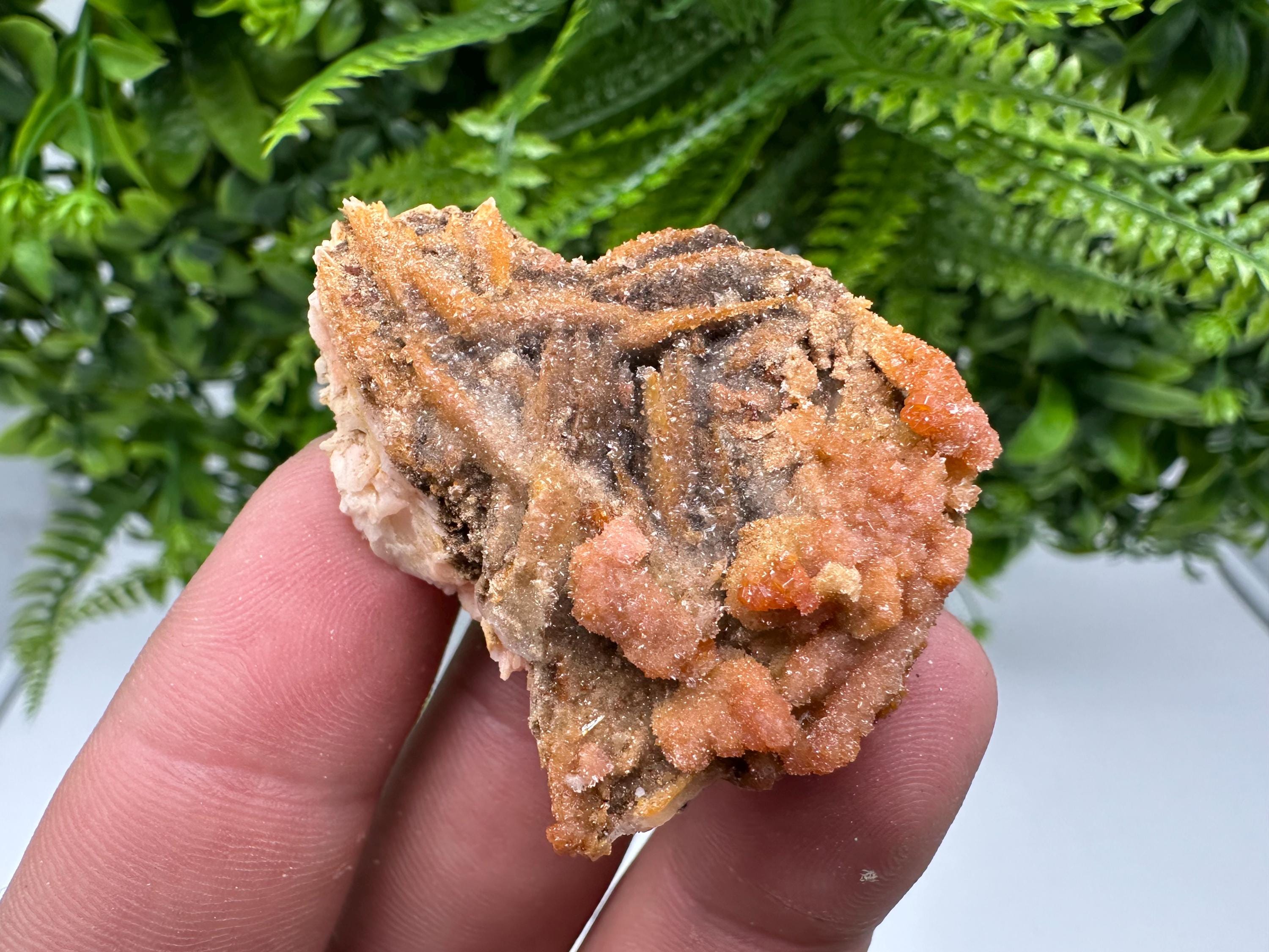 Red Vanadinite on Barite, Morocco Crystal Specimen