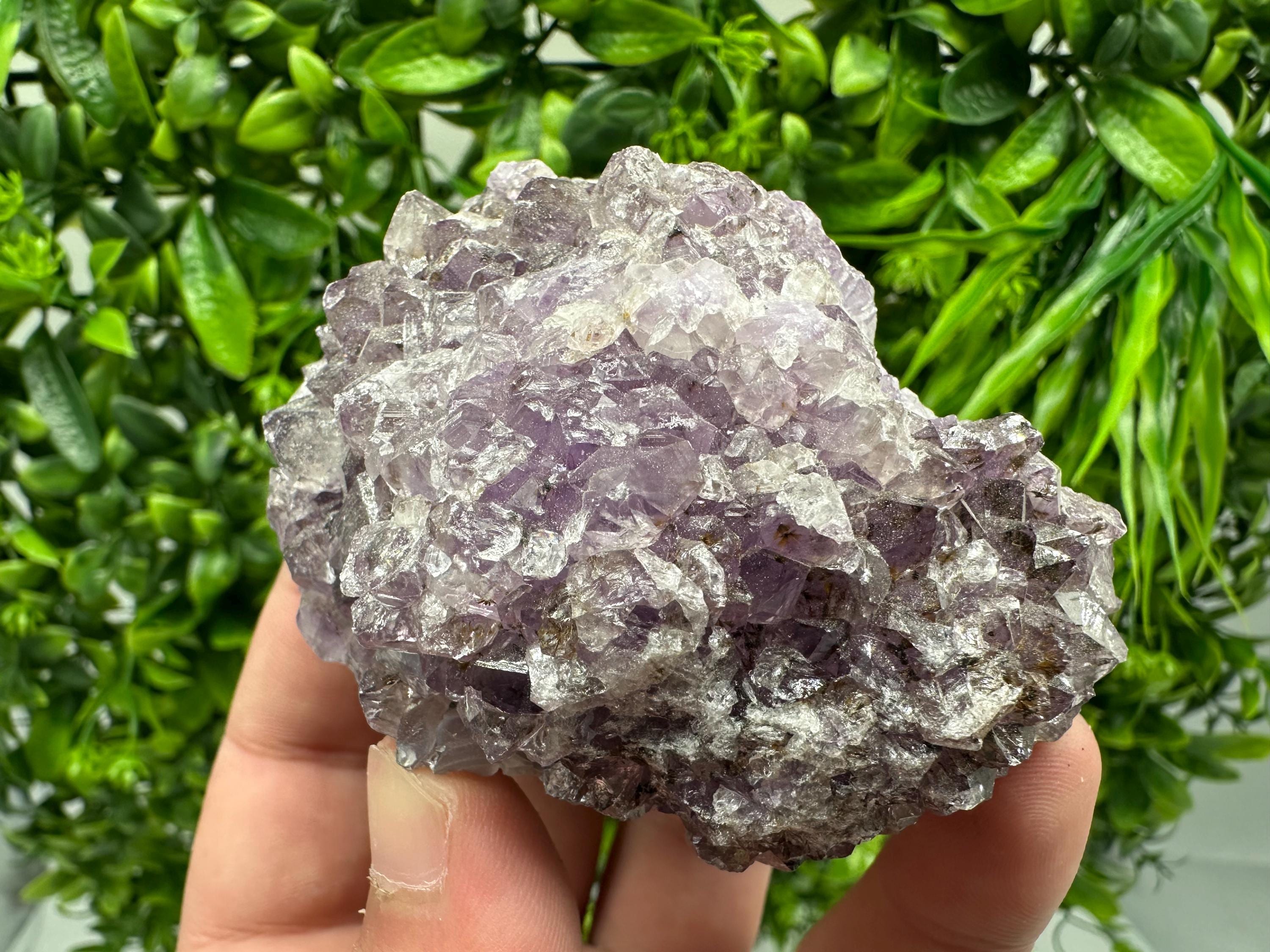 Brazilian Amethyst Cluster, Purple Quartz Crystal Specimen