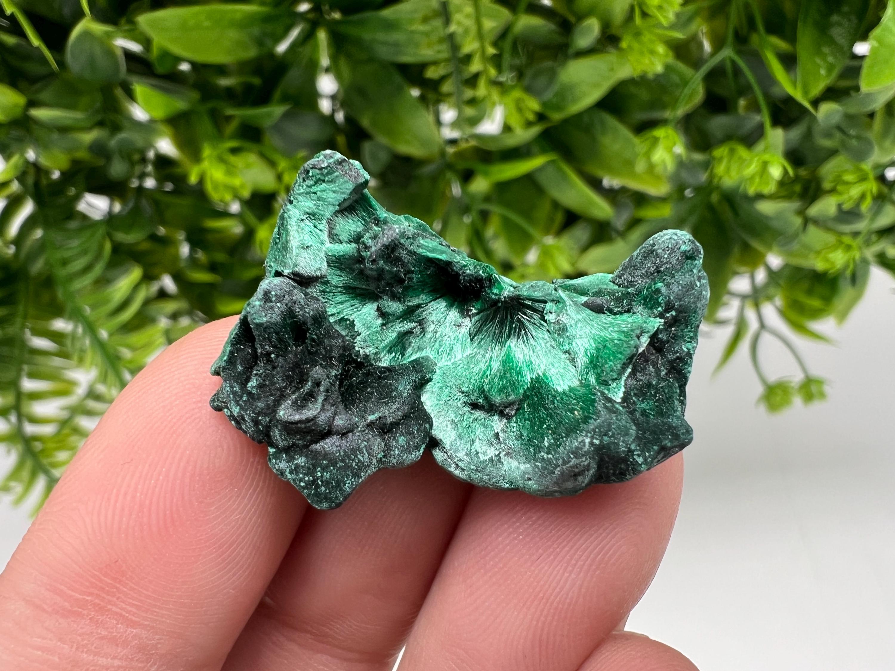 Malachite Crystal from Congo,Minerals,Crystals from Congo,Green Malachite, Malachite,Natural Malachite,Malachite Stone,Chakra, Specimens