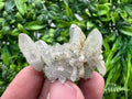Quartz Rhodochrosite Cluster, Djurcovo Mine, Bulgaria, Mineral Specimen