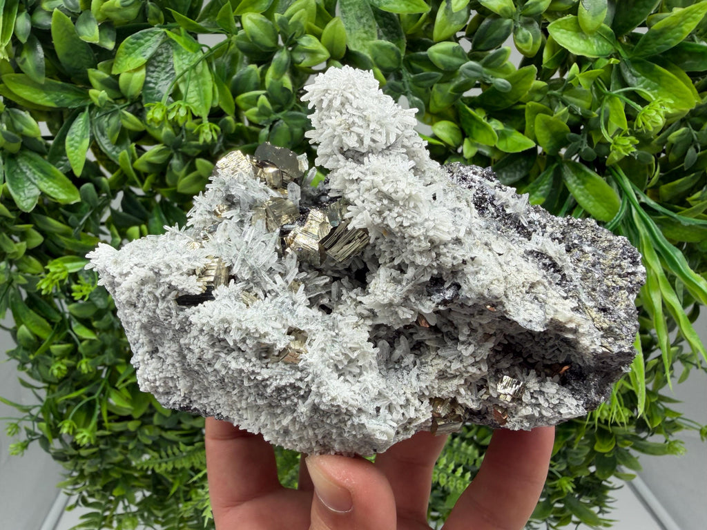 Pyrite Sphalerite Quartz  Mineral Specimen, Krushev dol Mine