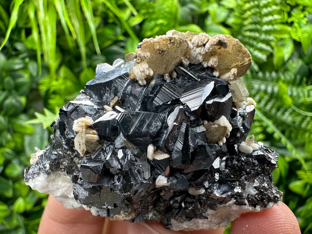 Calcite with Chlorite on Sphalerite, Borieva Mine Mineral Specimen