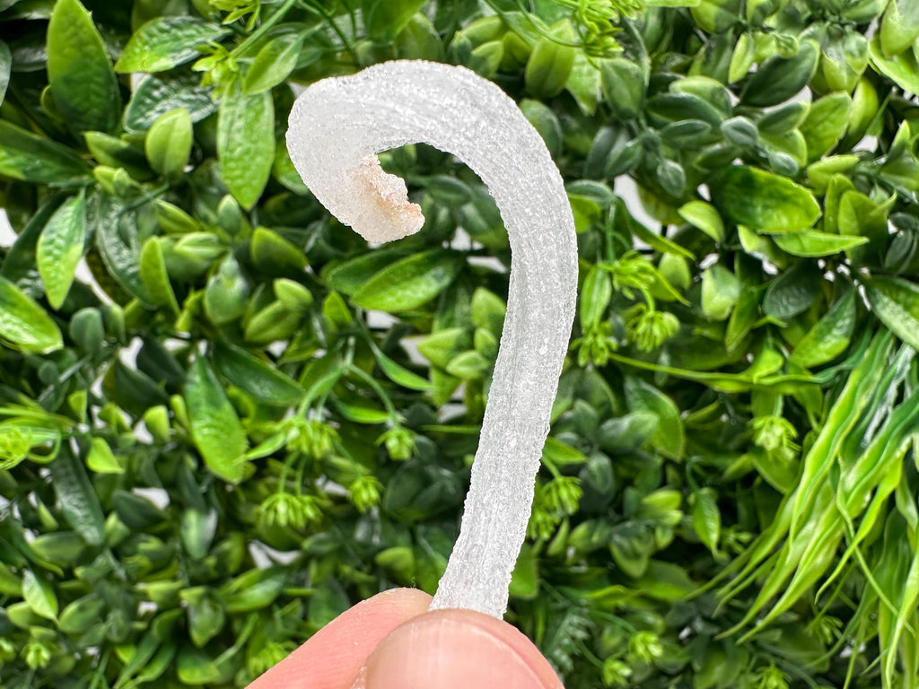 White Selenite Gypsum "Ram's Horn'' Selenite,from Guizhou,China,perfect Shape and Luster,Fluorescent Selenite Gypsum,minerals specimen,colle