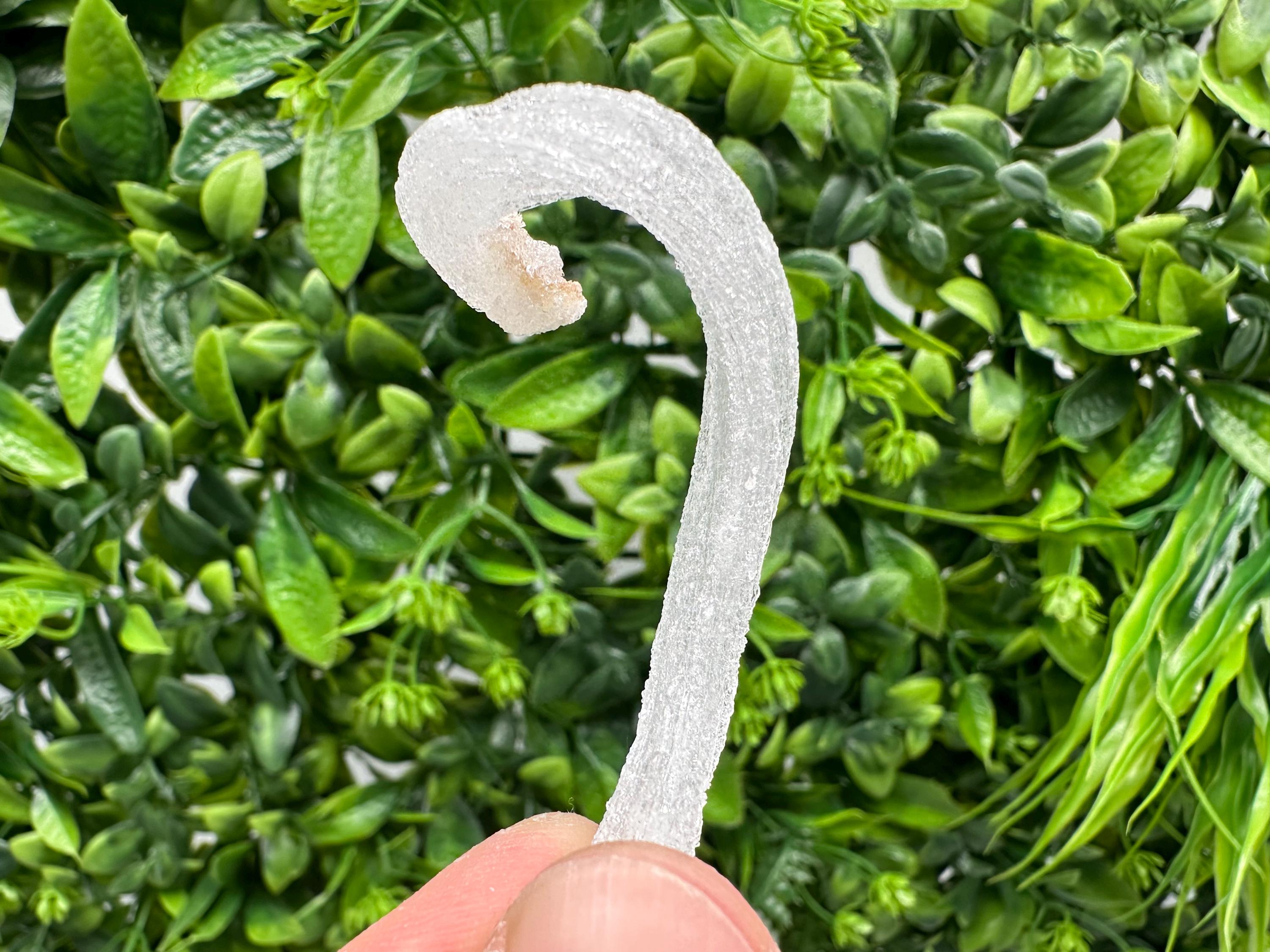 White Selenite Gypsum "Ram's Horn'' Selenite,from Guizhou,China,perfect Shape and Luster,Fluorescent Selenite Gypsum,minerals specimen,colle