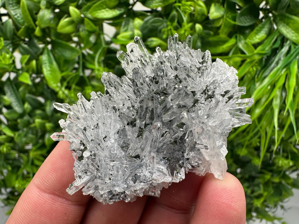 Chlorite Quartz Crystal Cluster - Borieva Mine, Bulgaria