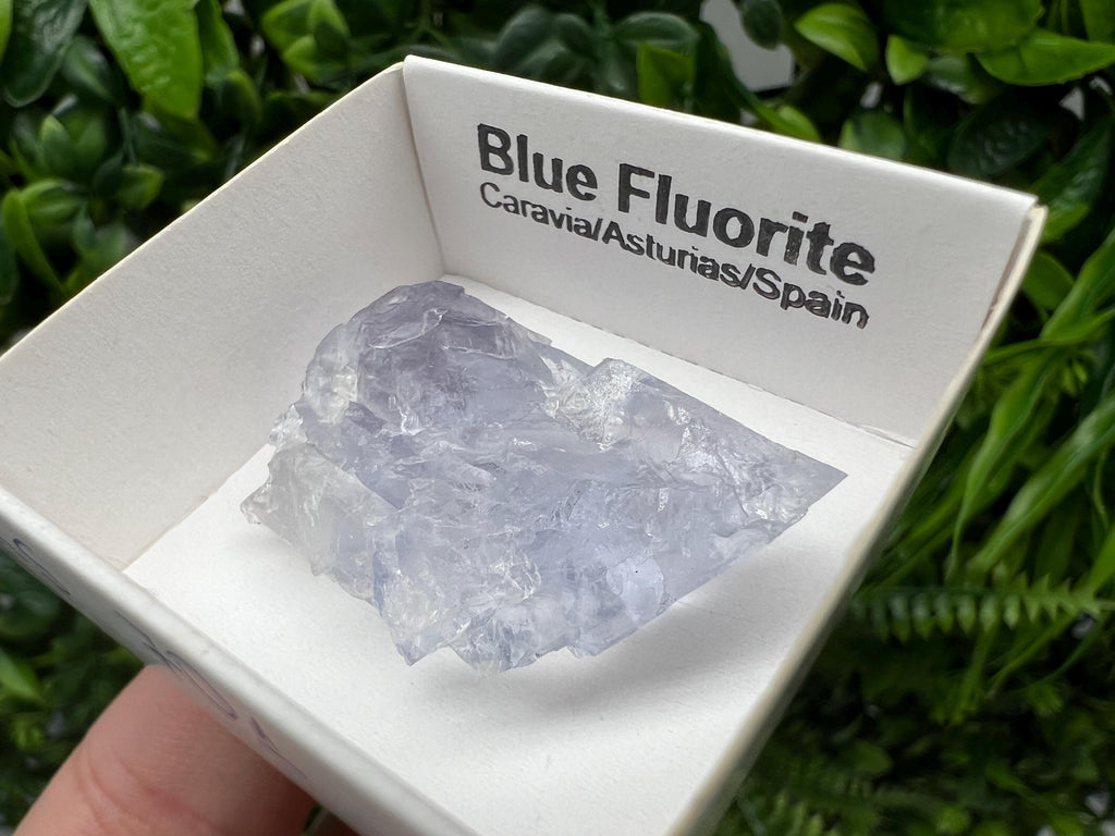 Blue Fluorite Mineral Specimen: Spain Collection (3.5/2.5 cm)