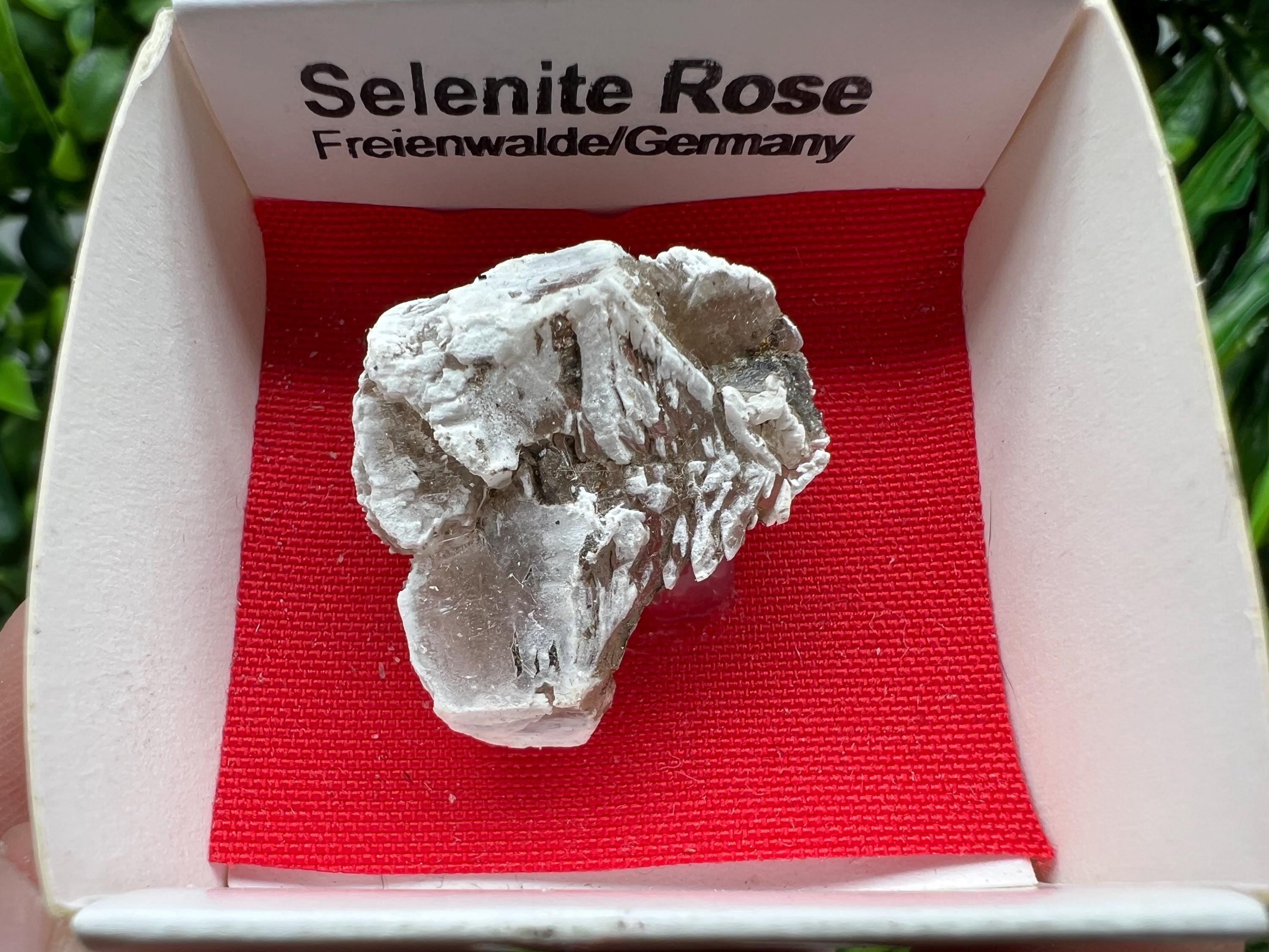 Selenite Rose Freienwalde,Germany natural crystal minerals,specimen,clusters,souvenirs,home decor,gift minerals,rare stone,collection