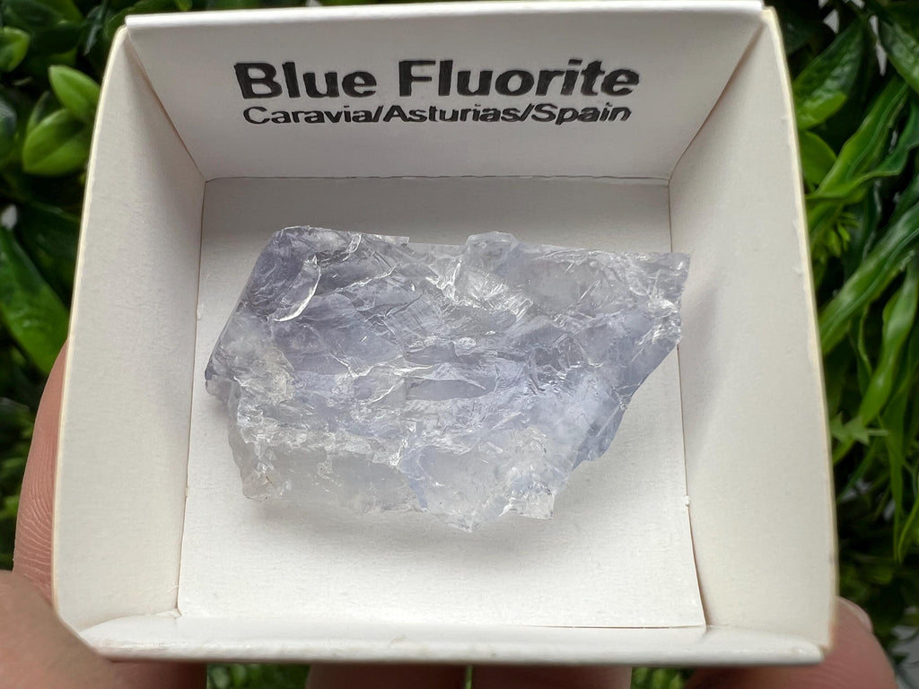Blue Fluorite Mineral Specimen: Spain Collection (3.5/2.5 cm)