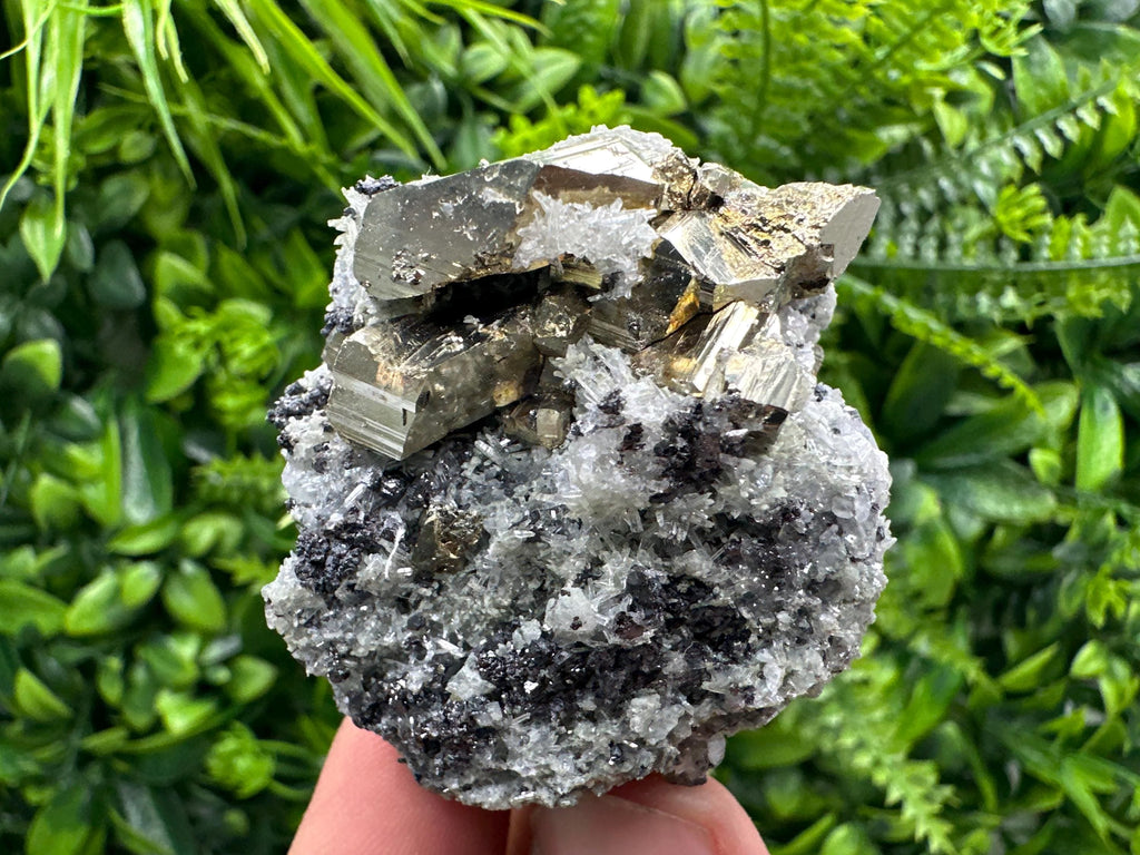 Sphalerite Pyrite on Quartz with Chlorite, Borieva Mine Mineral Specimen