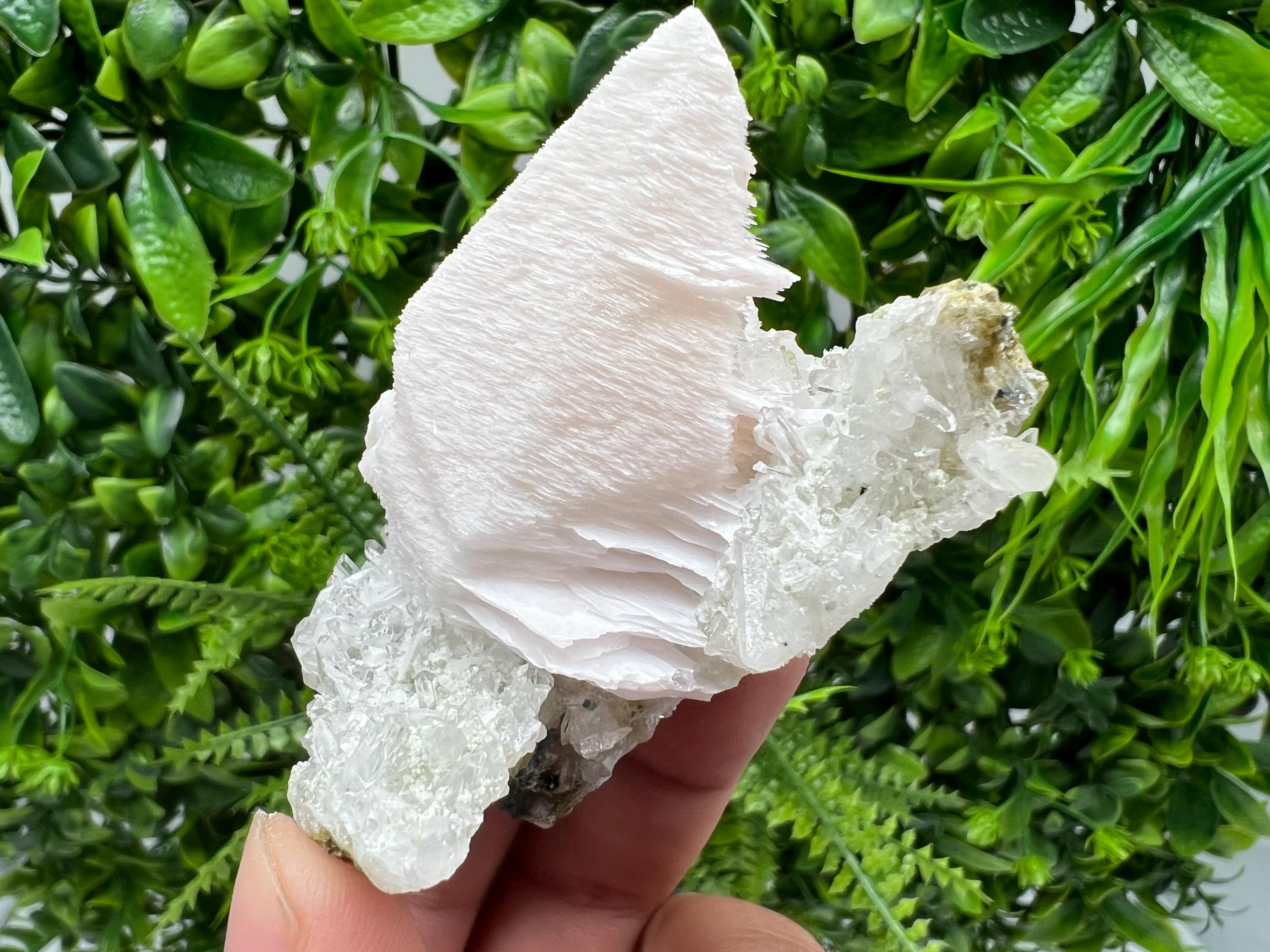 Incredible UV Mangano Calcite on Quartz from Borieva mine,Madan,Bulgaria,natural,collectible mineral specimen,home decor stone,crystal,gift