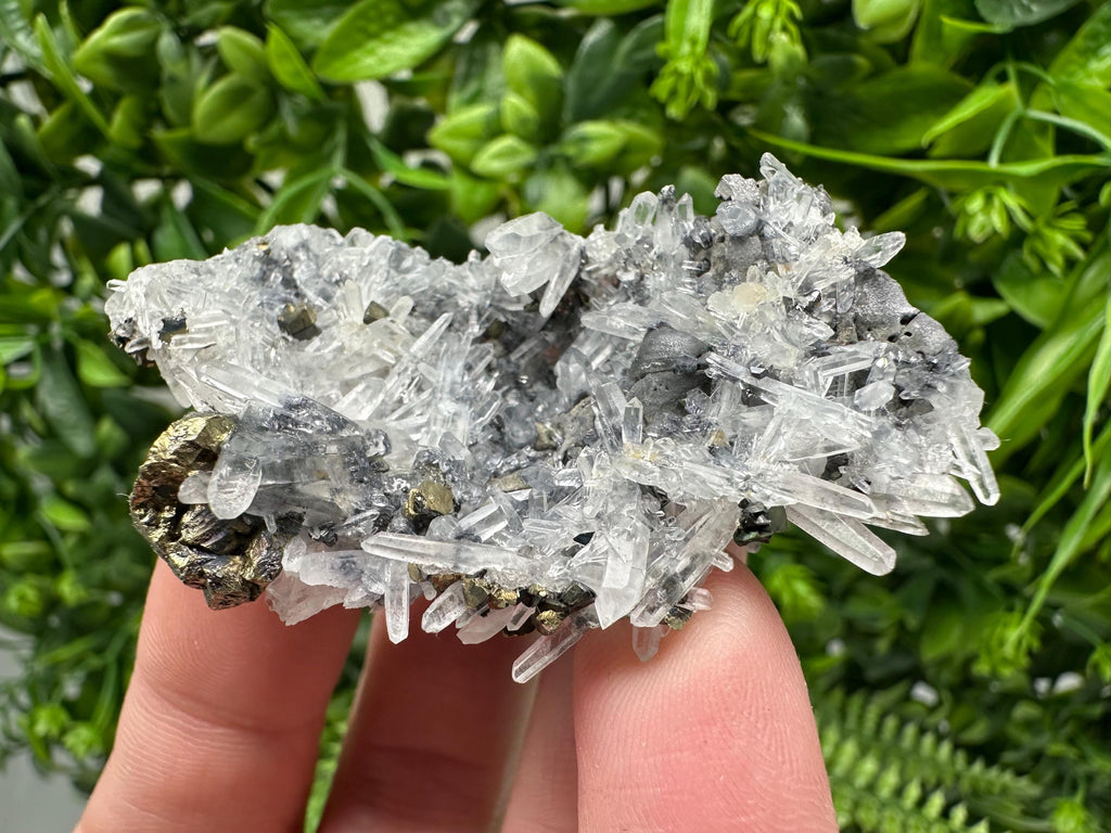Wonderful Sphalerite Chalcopyrite on  Quartz whit Galena feom 9 th September mine,Bulgaria,natural,collection mineral specimen,gift