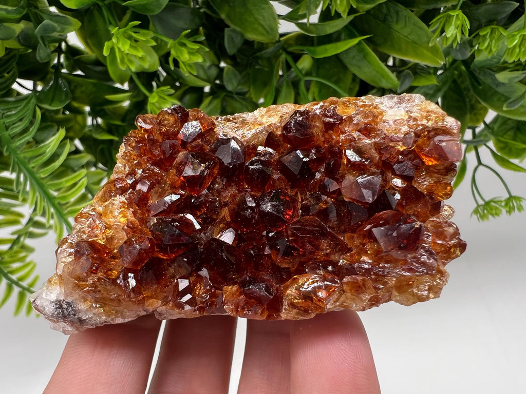 Citrine Crystal Cluster with Hematite Inclusions, Brazil