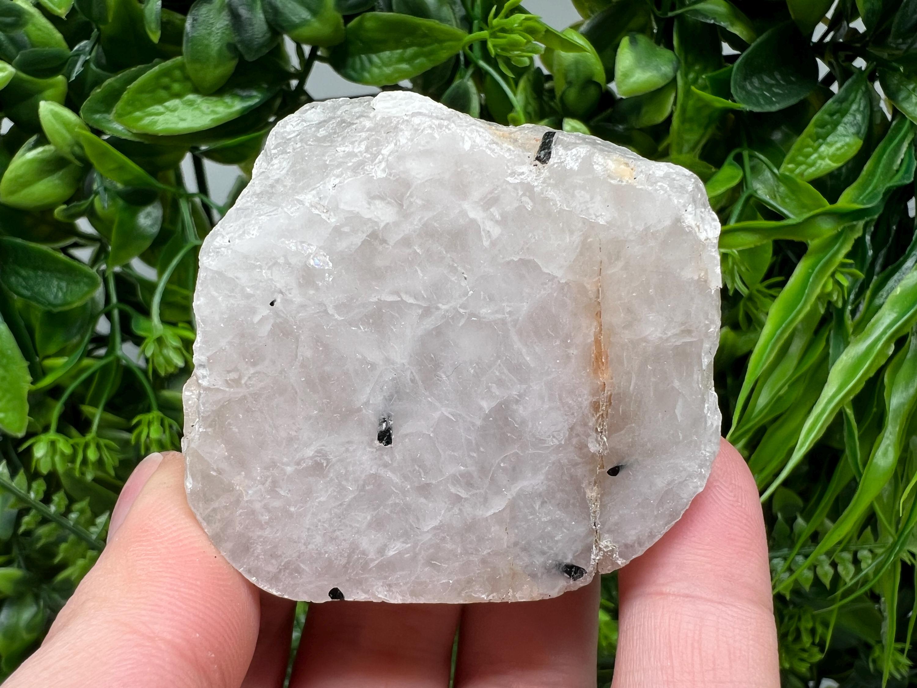 Black Tourmaline in Quartz Polished Slab