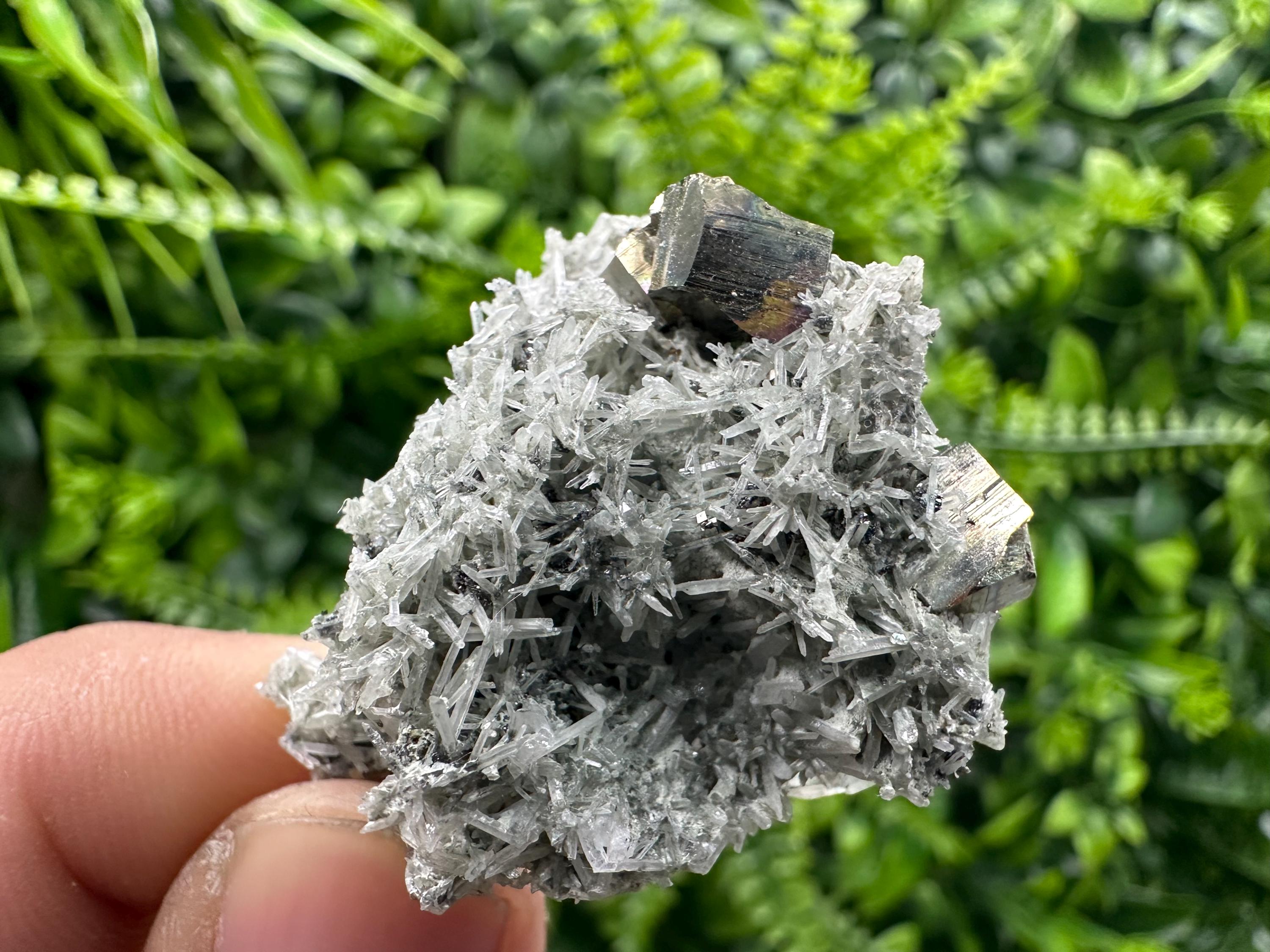Pyrite on Green Quartz Mineral Specimen, Borieva Mine Crystal