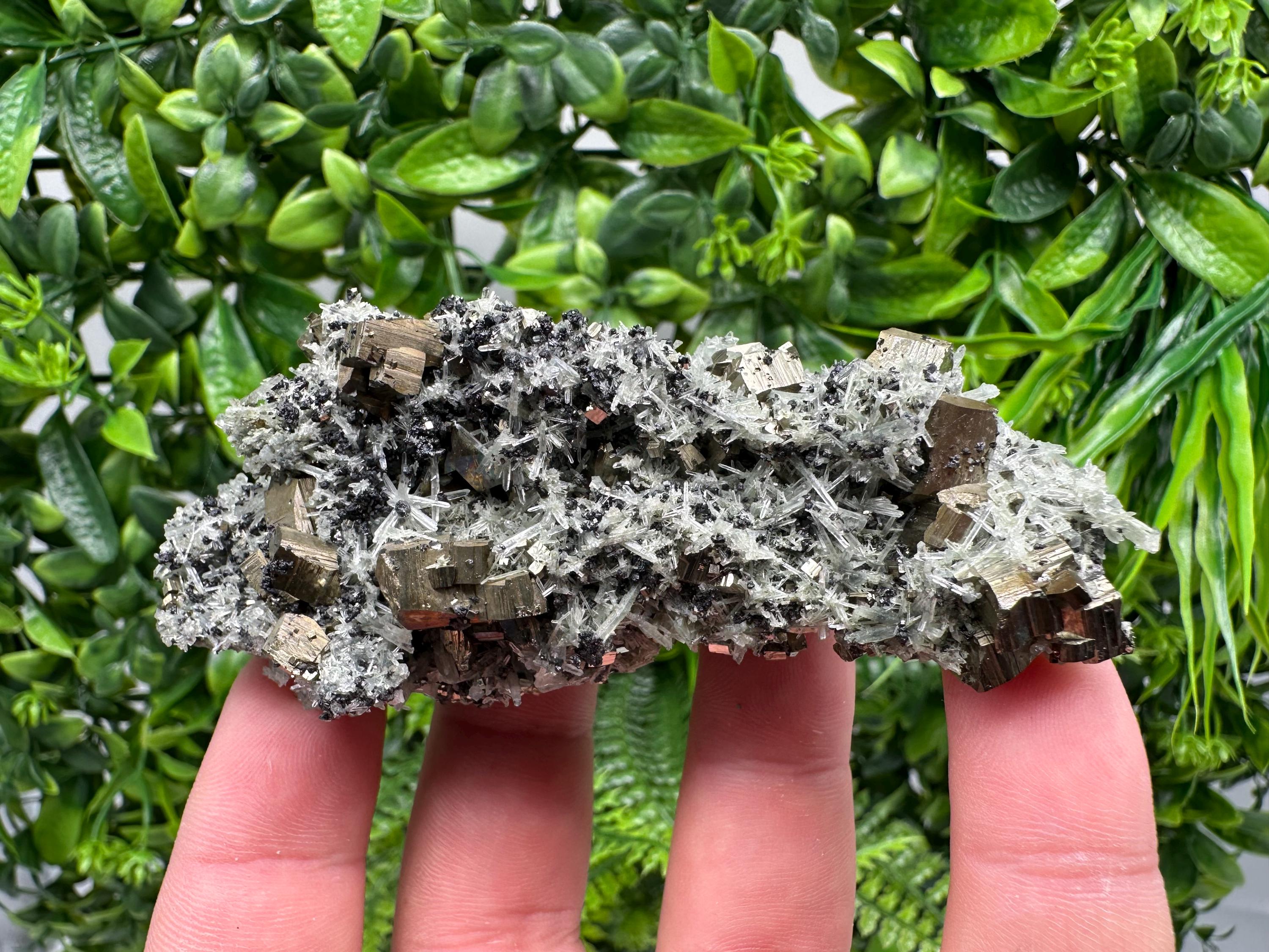 Pyrite on Needle Quartz Mineral Specimen, Borieva Mine, Bulgaria