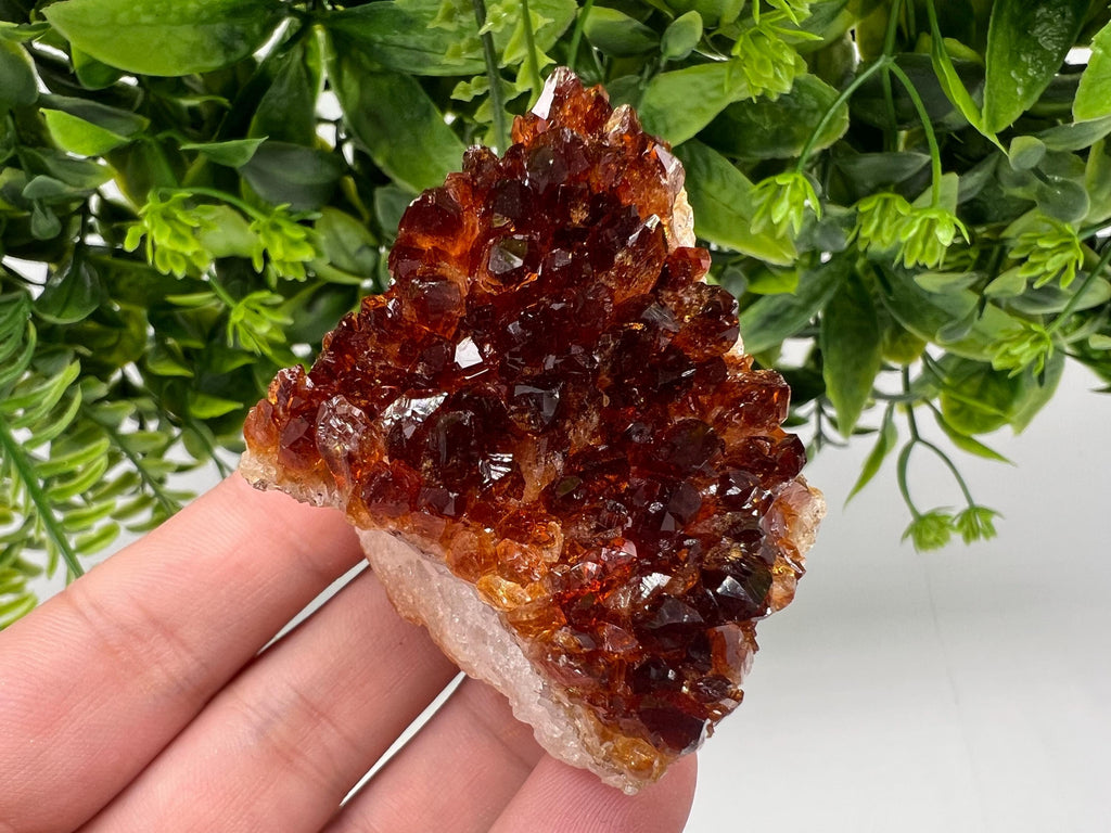 Brazilian Citrine Crystal Cluster, Hematite Inclusions