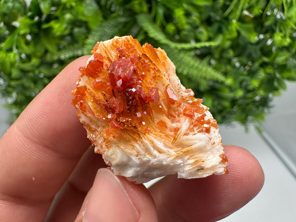 Red Vanadinite on Barite from Marocco,crystal minerals Speciment cluster Vanadinite crystal Vanadinite Geology Vanadinite cluster minerals