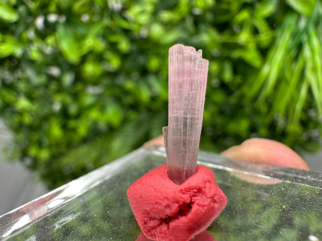 Rare Pink and Green Tourmaline Pencil - 15mm