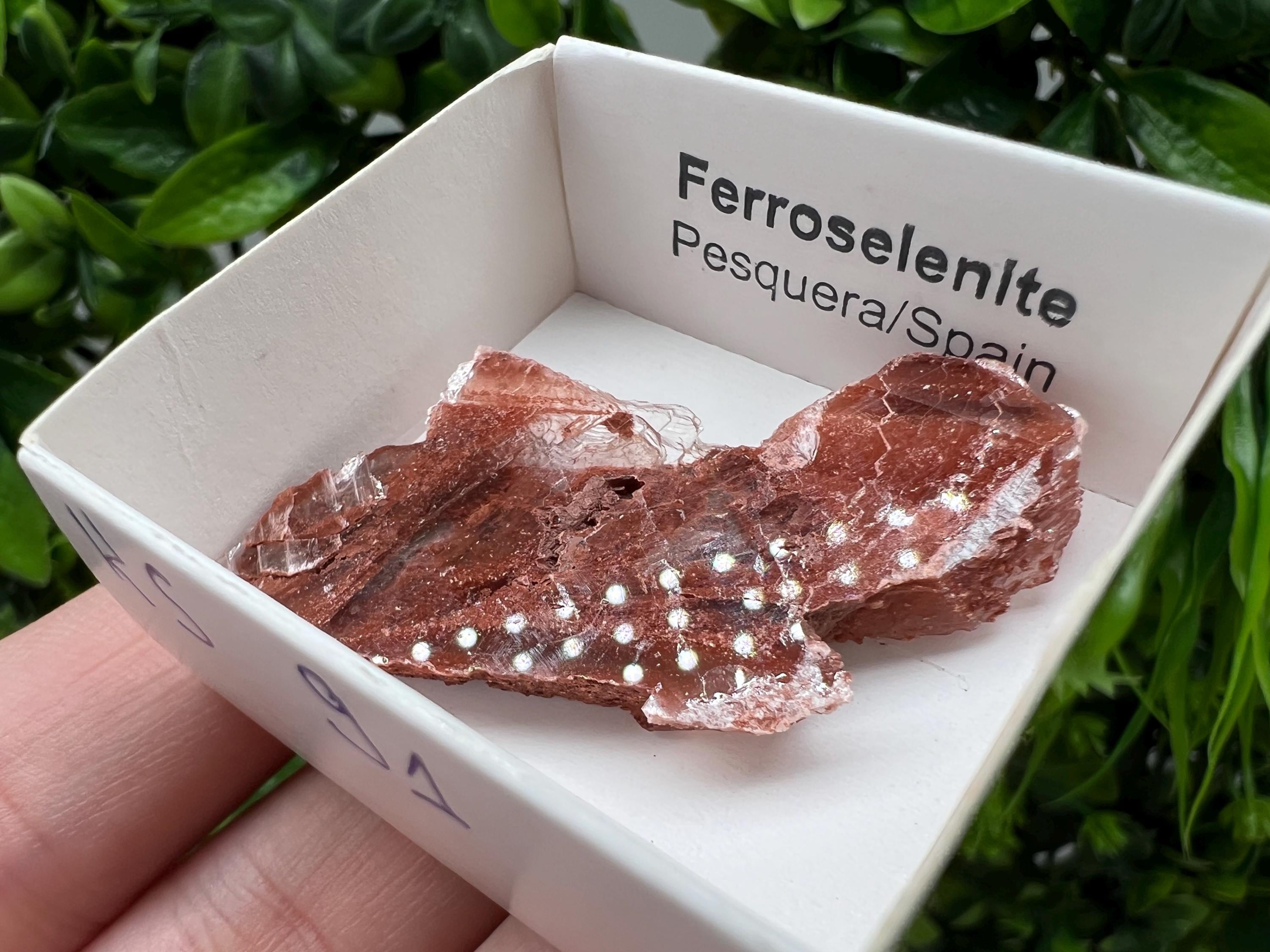 Rare Ferroselenite Mineral Specimen, La Pesquera Spain