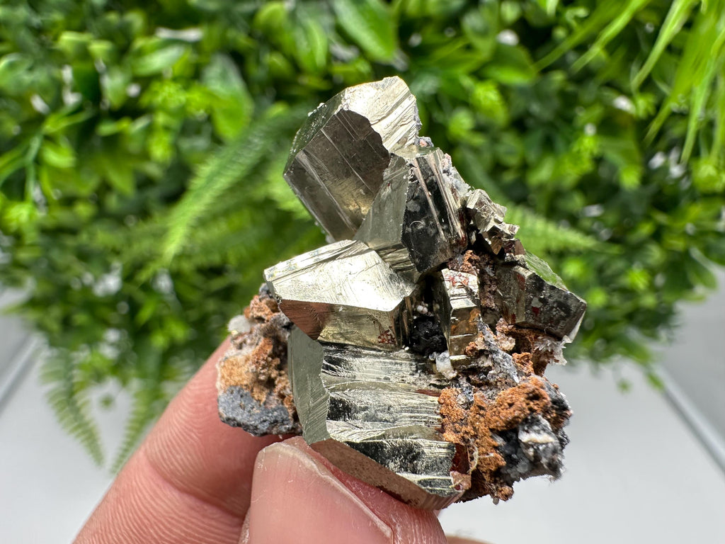 Golden Pyrite,Sphalerite from 9th September mine,Madan,Bulgaria,natural,collectible mineral specimen,home decor crystal,Pyrite cluster,