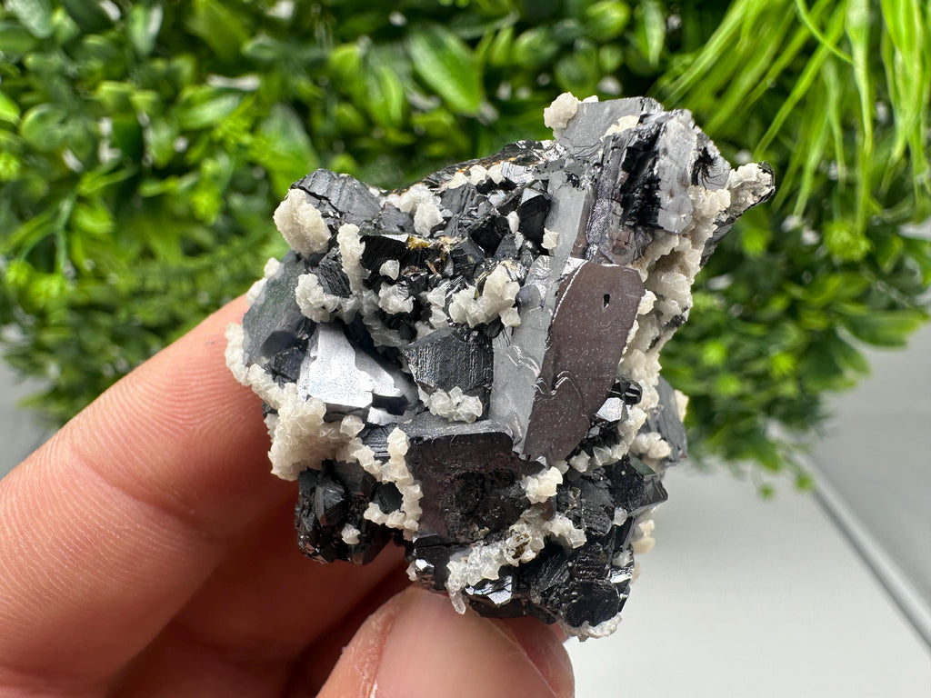 Skeletal Galena with Siderite & Sphalerite - Krushev dol Mine, Bulgaria