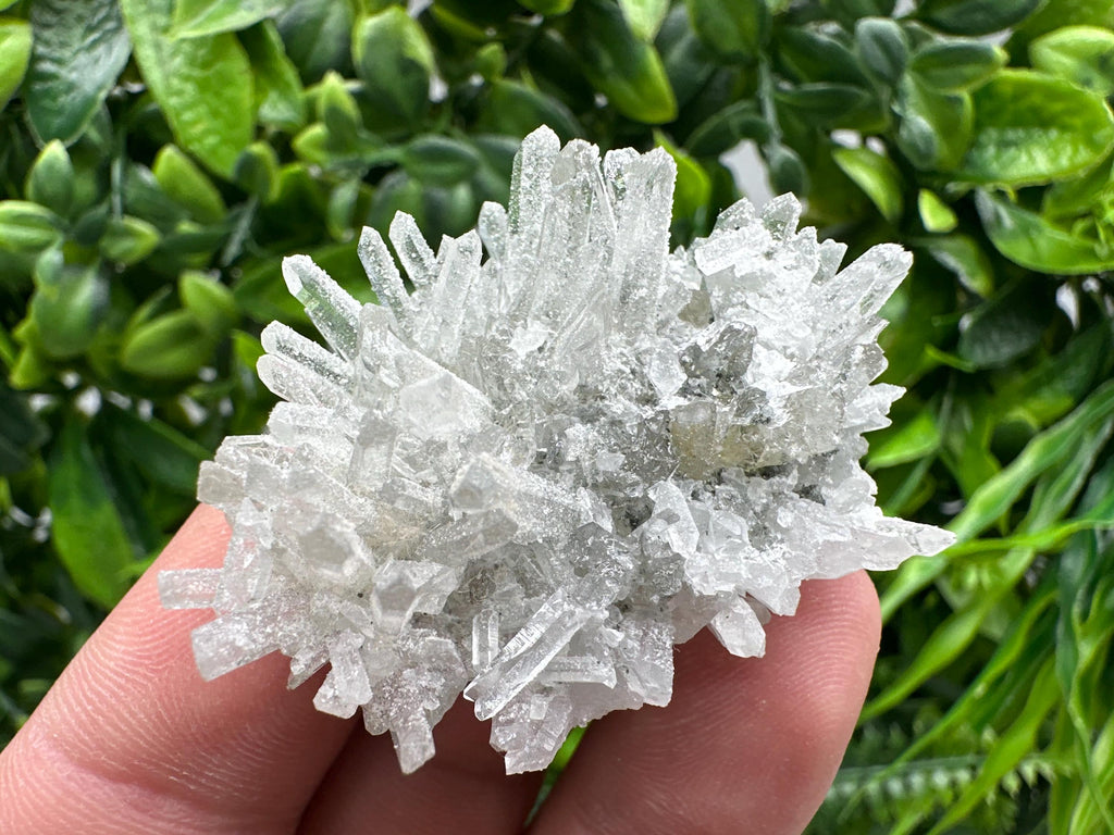 Transparent Quartz on Chlorite Matrix, Borieva Mine, Bulgaria