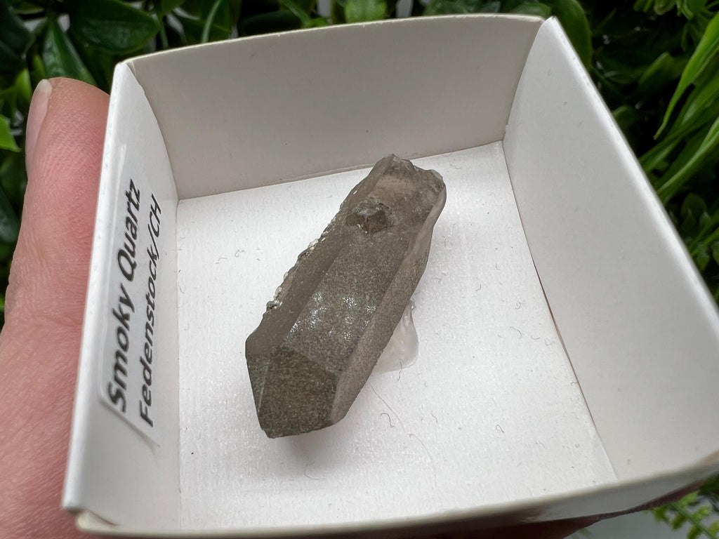Rare Fedenstock Smoky Quartz Point, Switzerland Mineral Specimen (35MM)