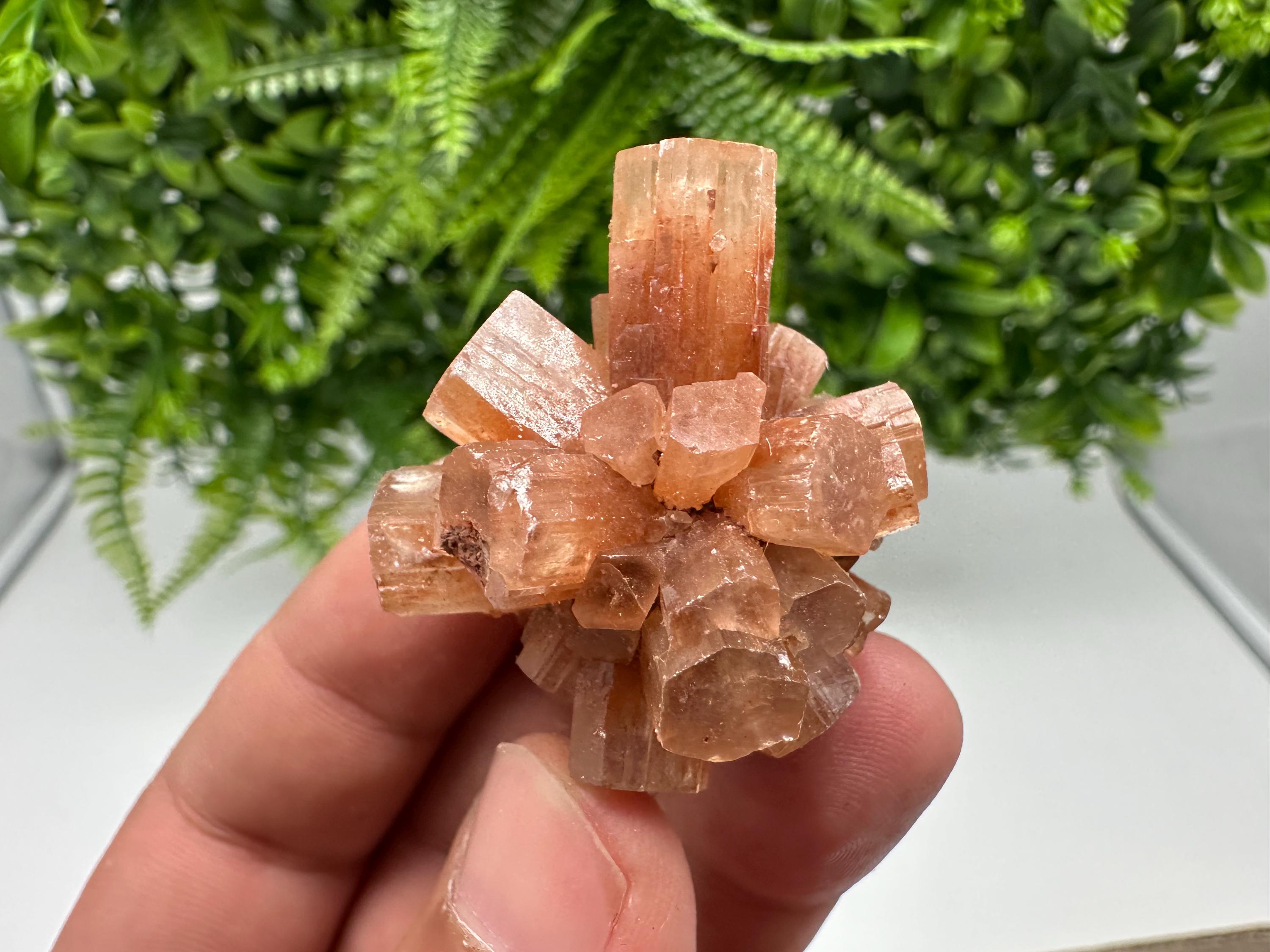Aragonite Sputnik Cluster: Raw Moroccan Crystal Stone, Home Decor