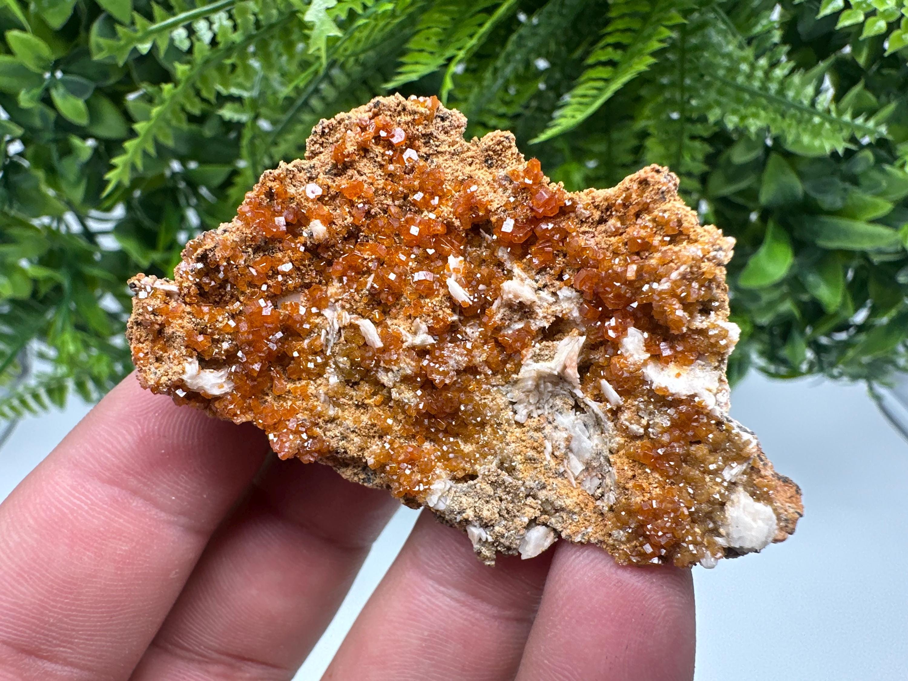 Red Vanadinite on Barite, Morocco Crystal Mineral Specimen