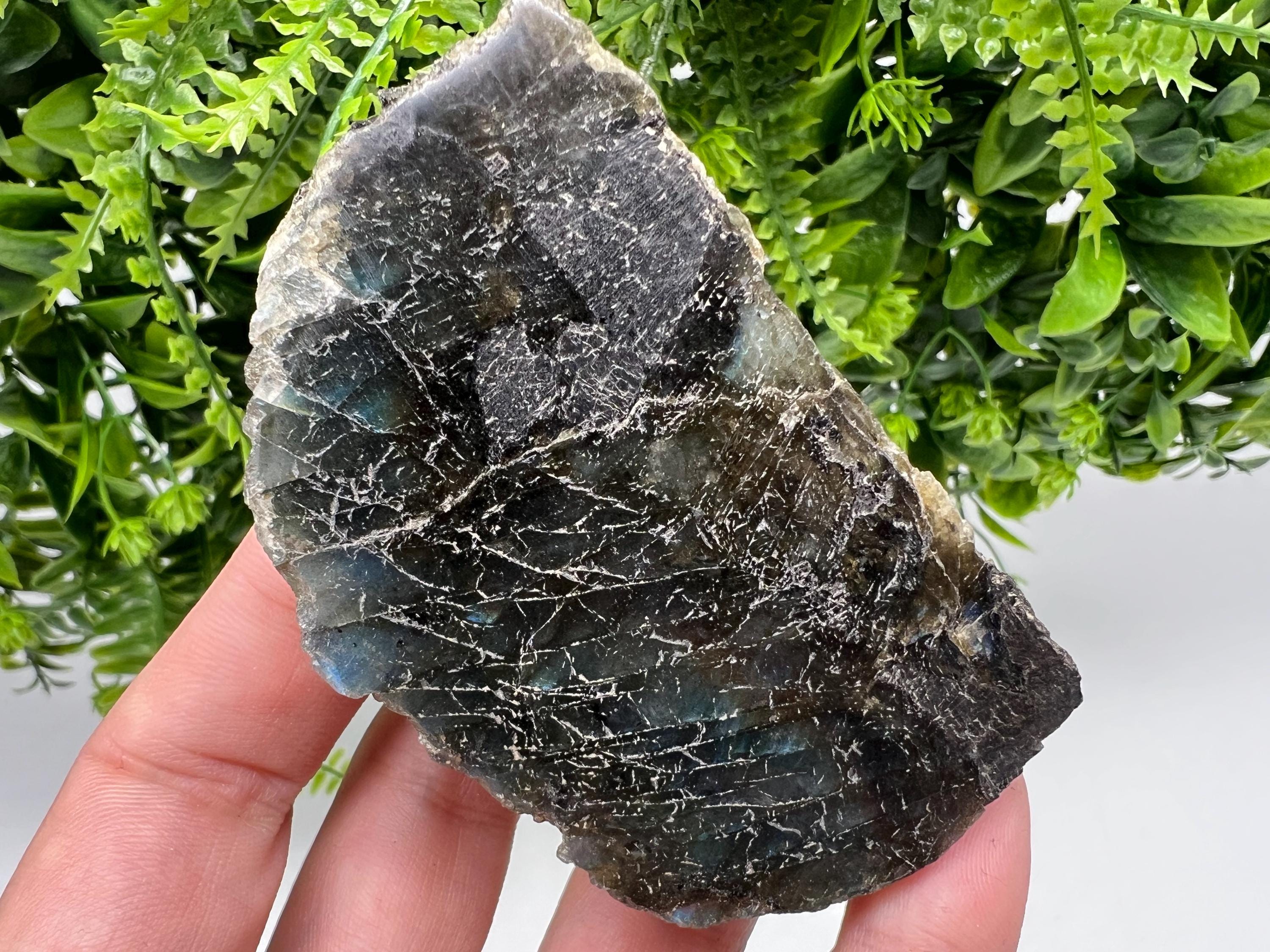 Polished Labradorite Slab: Multifire Crystal Decor - 118 Grams