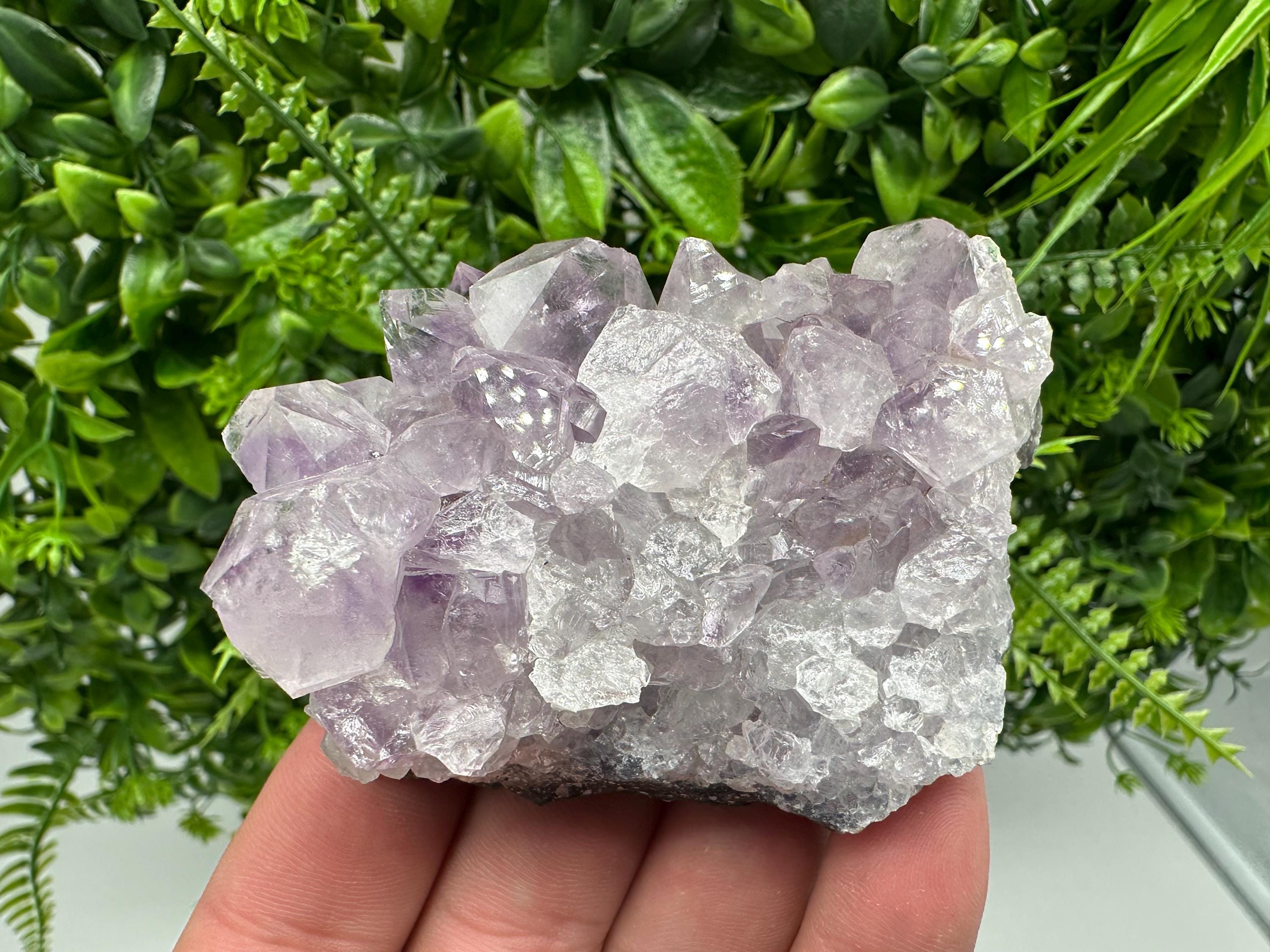 Brazilian Amethyst Cluster, Purple Quartz Specimen