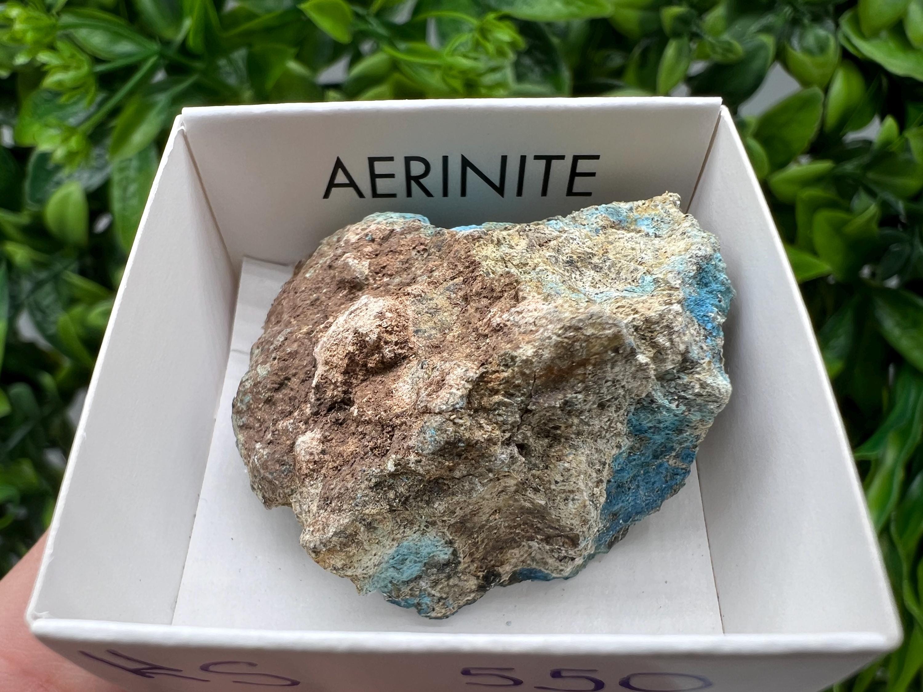 Rare Raw Aerinite Mineral Specimen: Lleida, Spain (3.5/3 CM