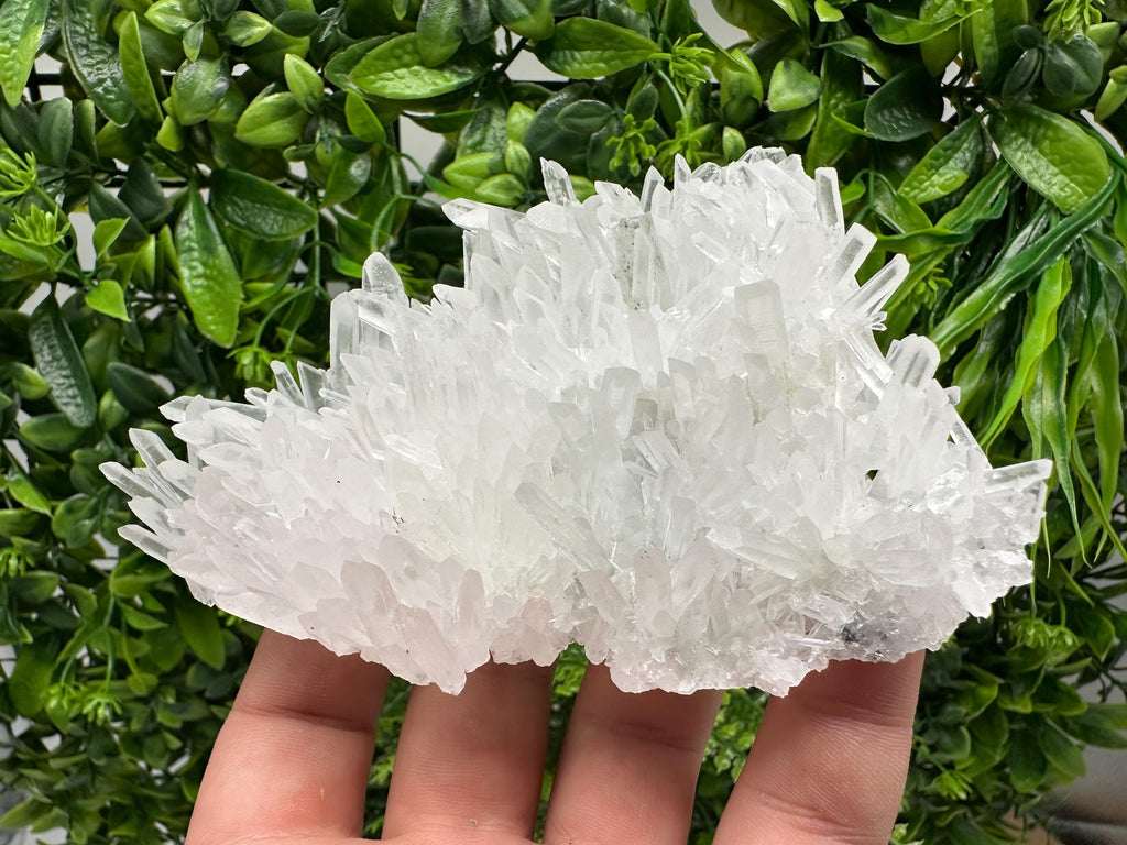 Stunning Transparent Quartz,from Borieva mine,natural collection mineral specimen rare crystal,home decor crystal,quartz cluster,Quartz,gift