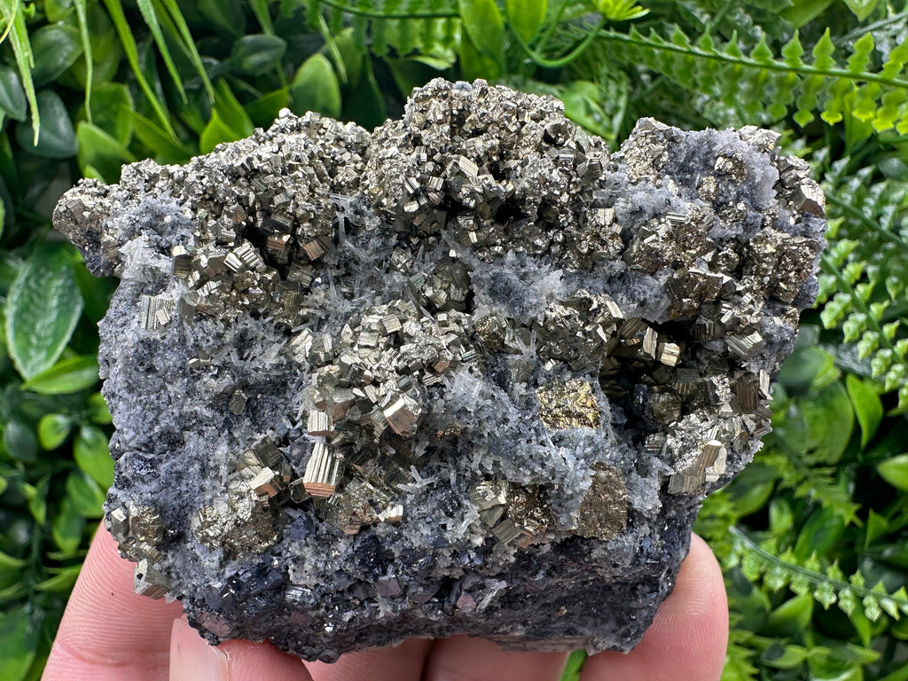 Pyrite on Quartz: Borieva Mine Crystal Decor (9/7/4.5cm)
