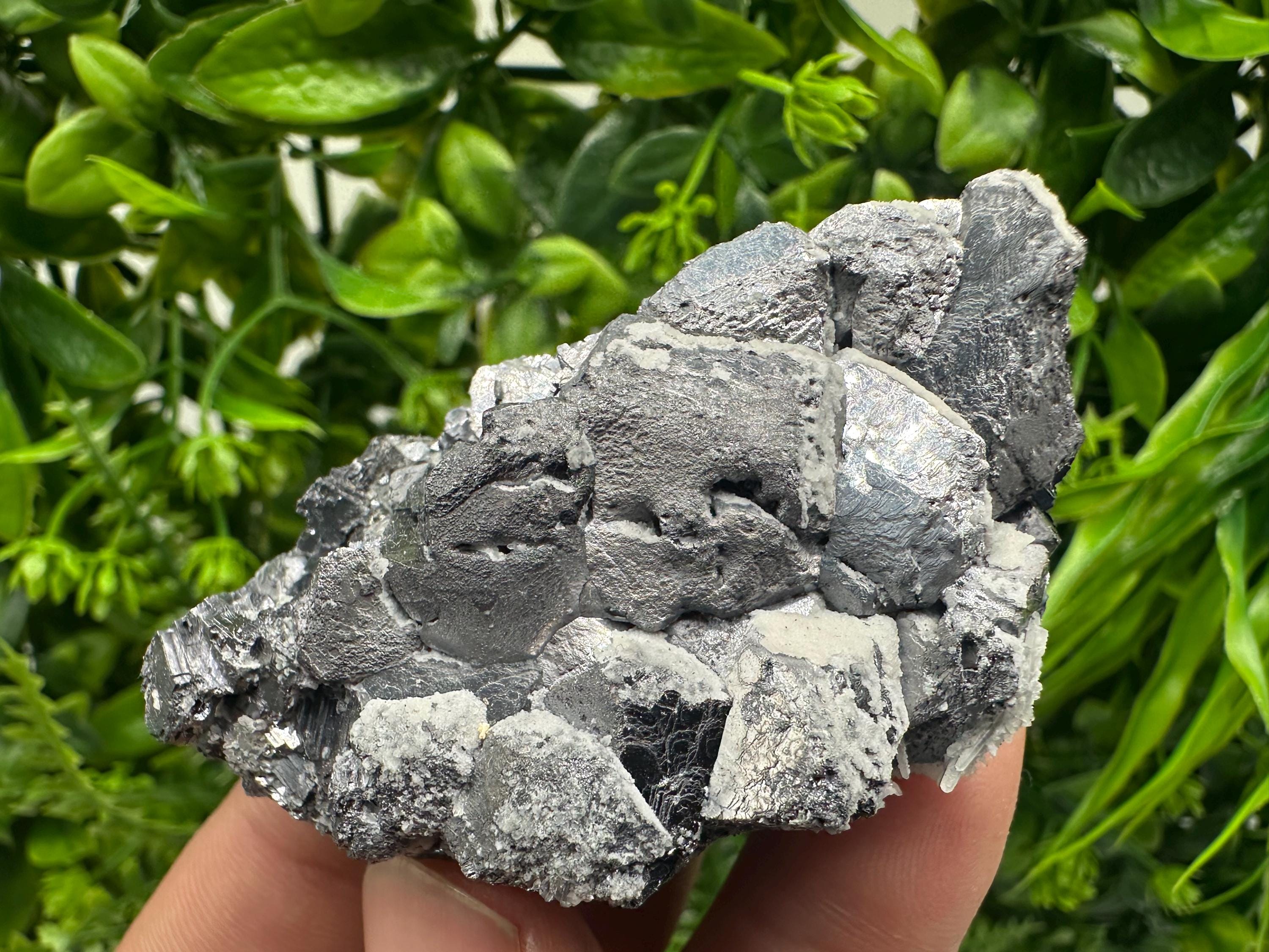 Galena with Quartz Specimen: Krushev Dol Mine, Bulgaria