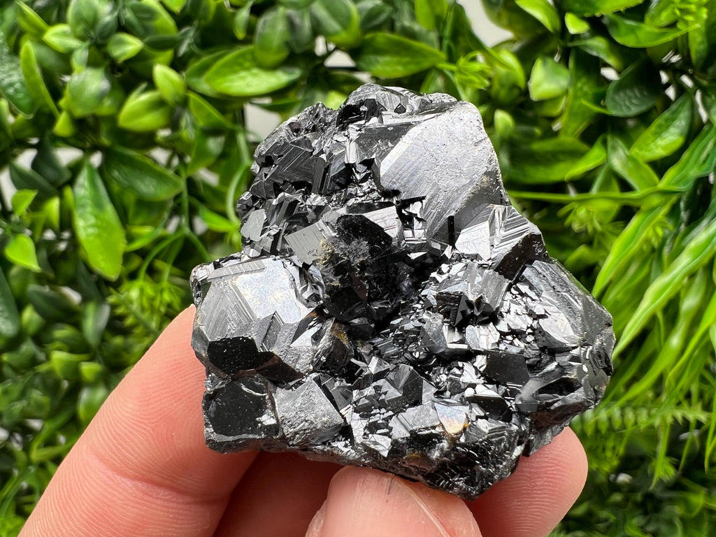 Sphalerite with Chlorite: Borieva Mine, Bulgaria