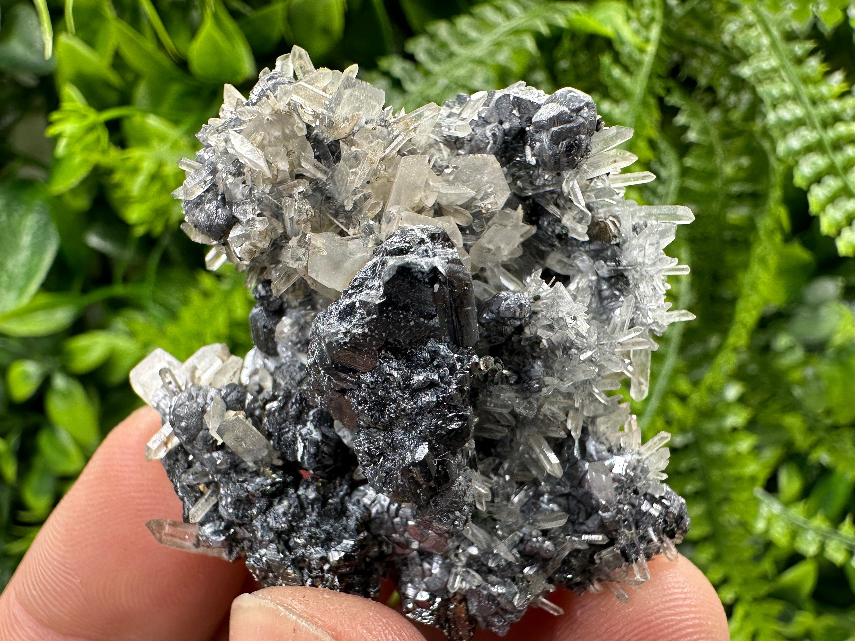 Sphalerite Quartz on Galena Mineral Specimen, Bulgaria