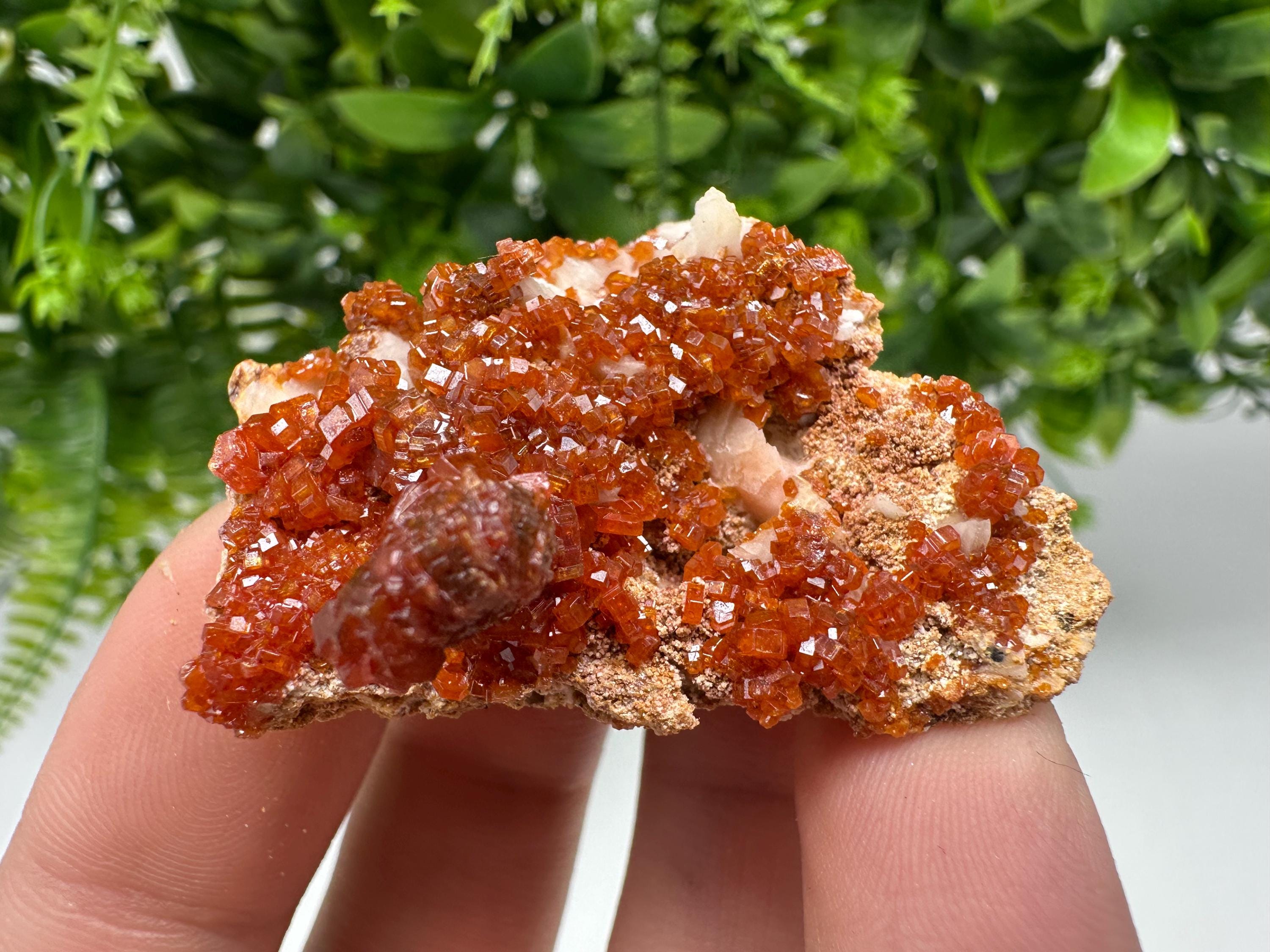Red Vanadinite on Barite from Marocco,crystal minerals Speciment cluster Vanadinite crystal Vanadinite Geology Vanadinite cluster minerals
